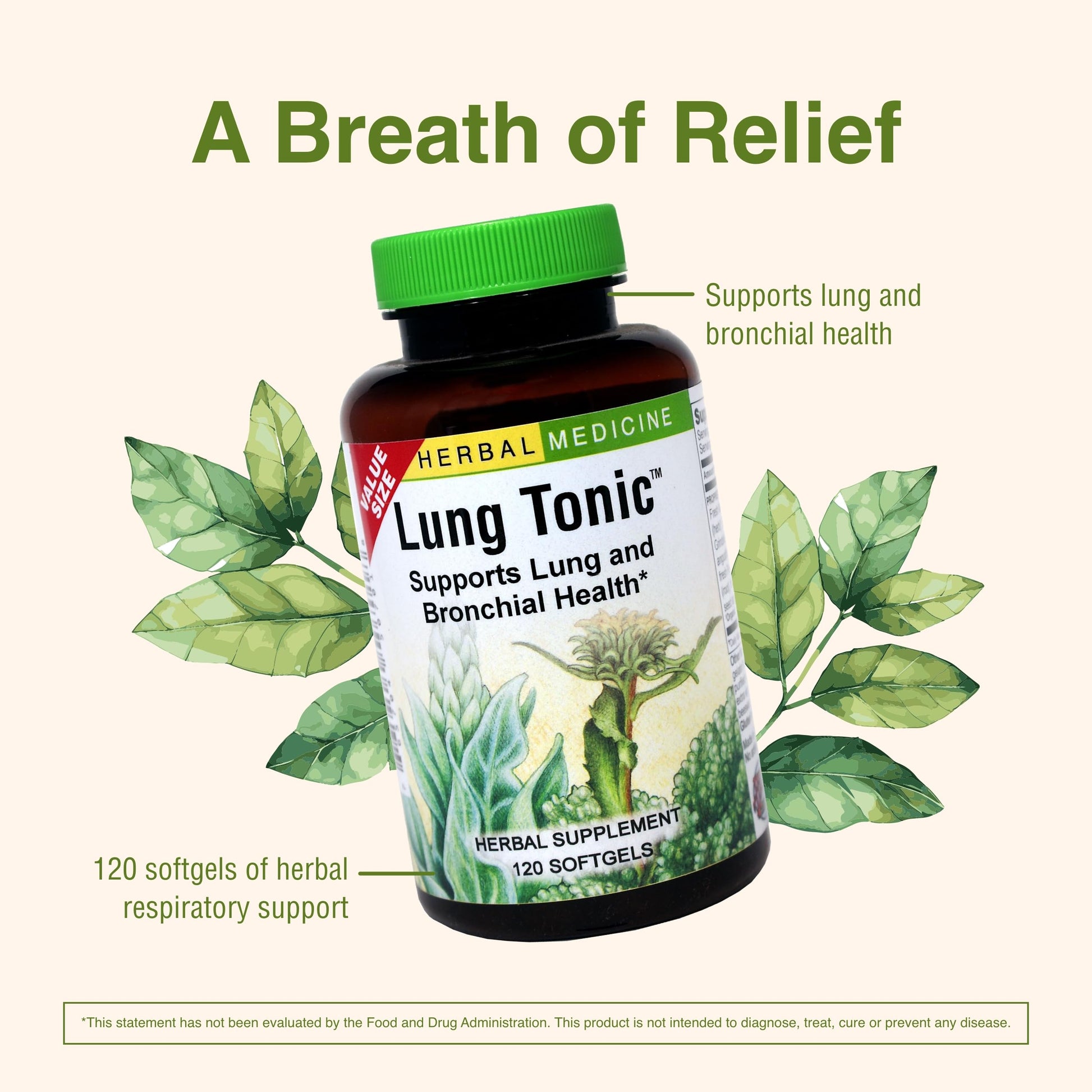 Herbs Etc. Lung Tonic - Lung Supplement for Bronchial Support - Healthy Breathing Support with Mullein, Horehound & Grindelia - 120 Softgels Herbs Etc.Au supplements