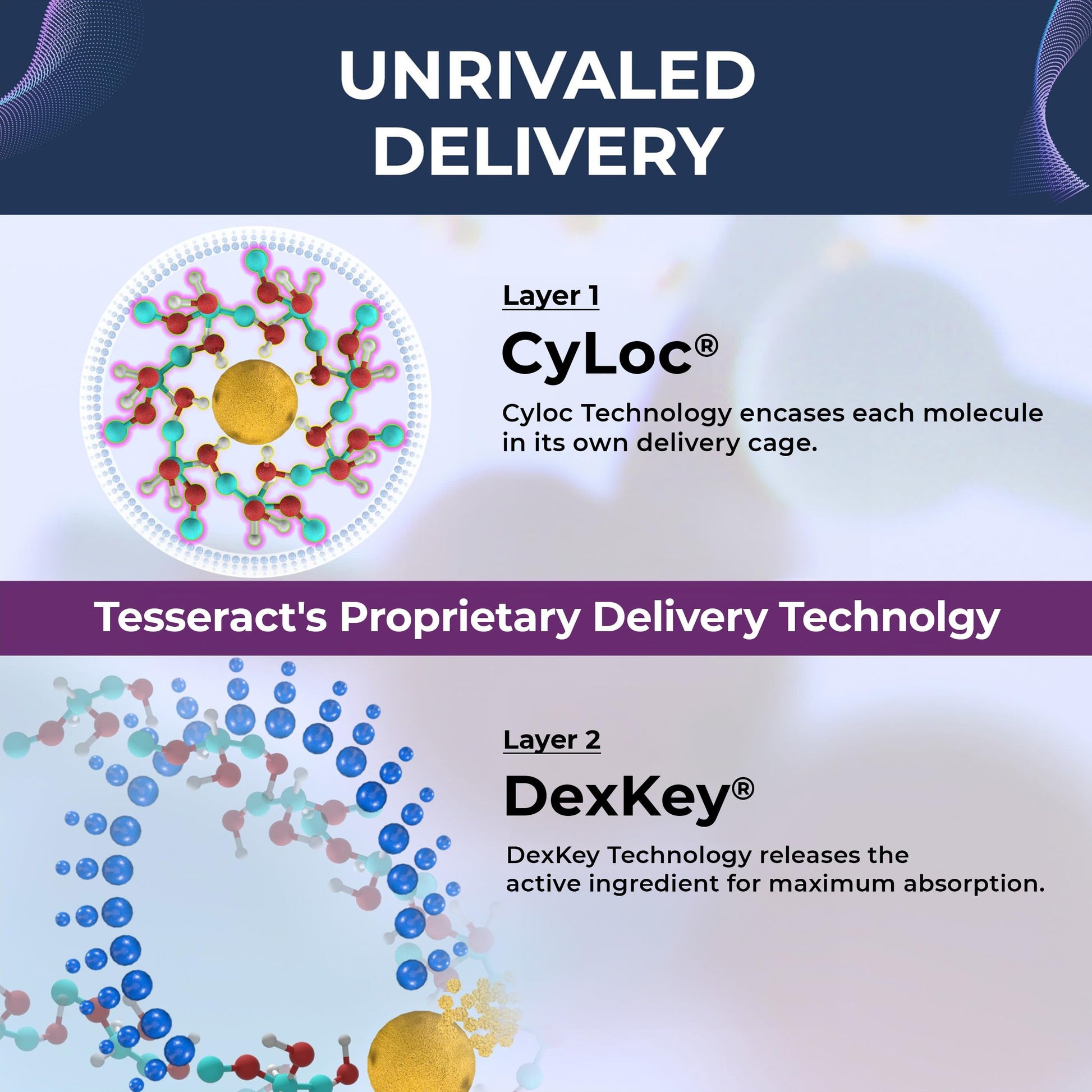 Tesseract Medical Research ProButyrate Gut Health Supplement, Butyric Acid Complex & TetraCumin SR Joint Support Supplement, Sustained Release Tesseract Medical ResearchAu supplements