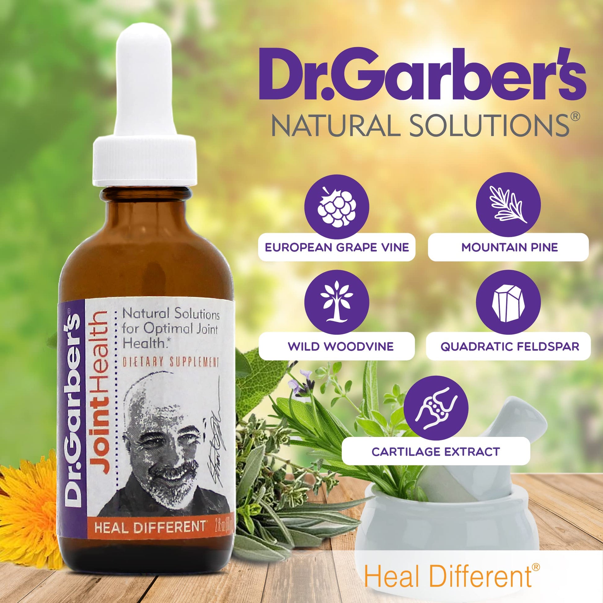 Dr. Garber's Natural Solutions Joint Health Oral Drops - Gemmotherapy Liquid Supplement for Healthy Joint Support & Function, Joint Repair, and Improved Mobility & Flexibility - 60ml DR.GARBER'SAu supplements