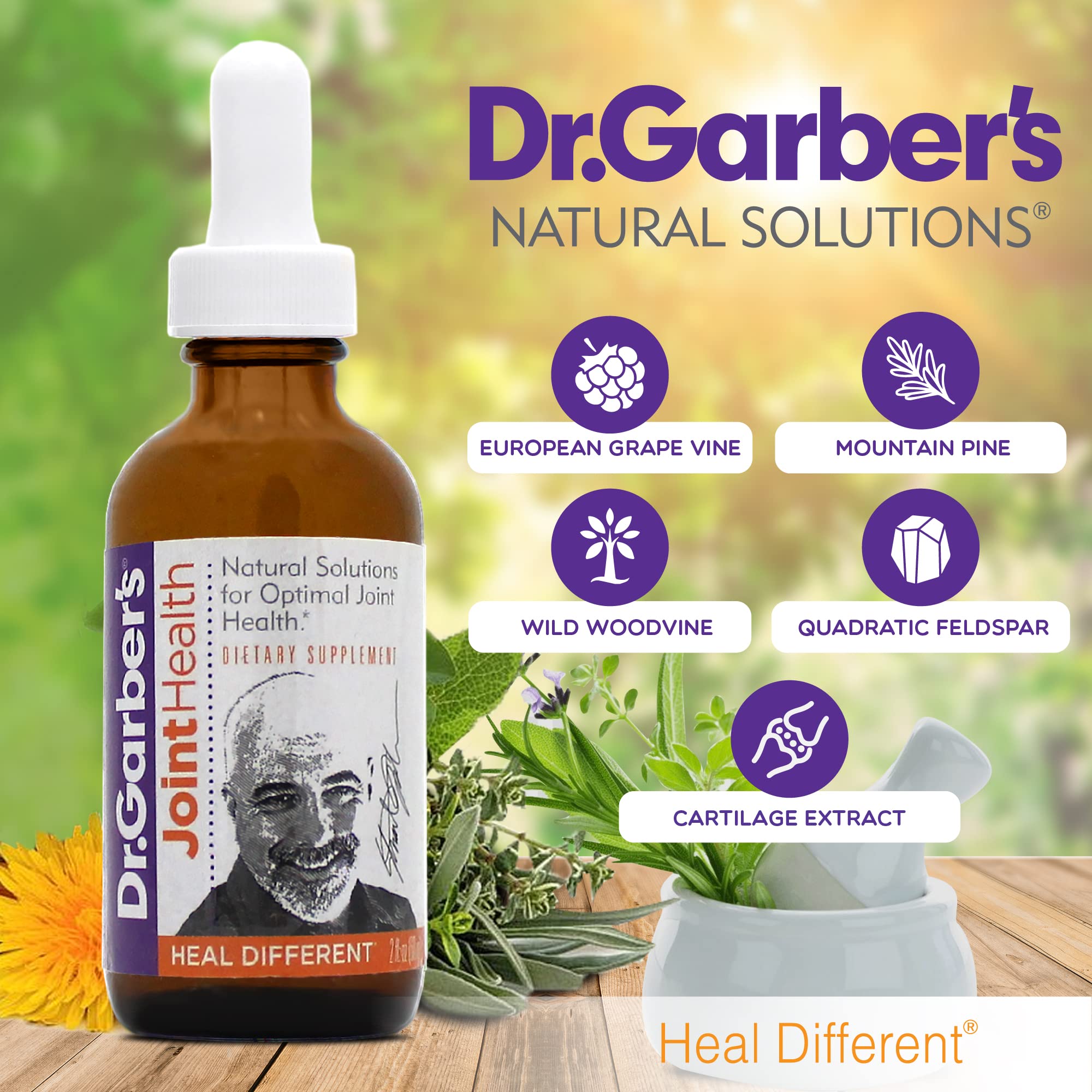 Dr. Garber's Natural Solutions Joint Health Oral Drops - Gemmotherapy Liquid Supplement for Healthy Joint Support & Function, Joint Repair, and Improved Mobility & Flexibility - 60ml DR.GARBER'SAu supplements