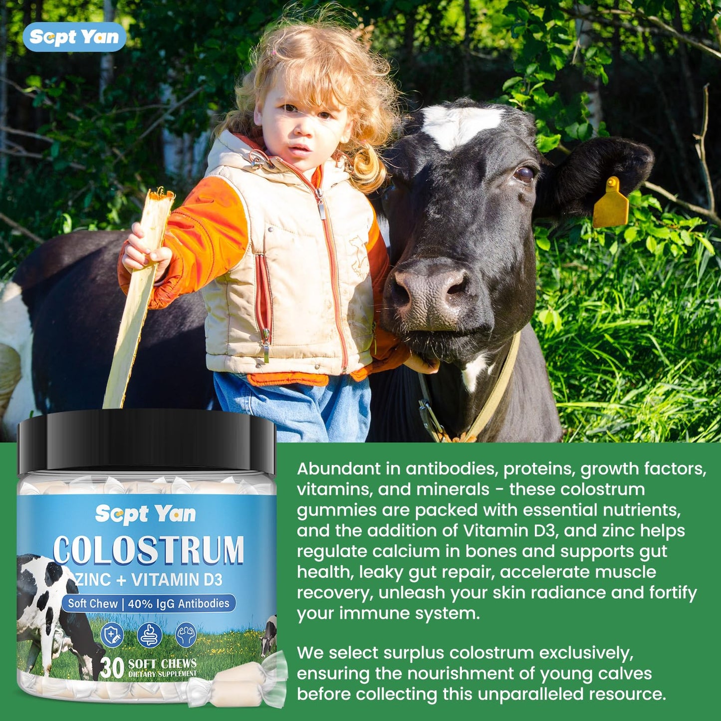 Colostrum Soft Chew Supplement (3000mg + 40% IgG), Concentrated Bovine Colostrum SEPT YANUS supplements