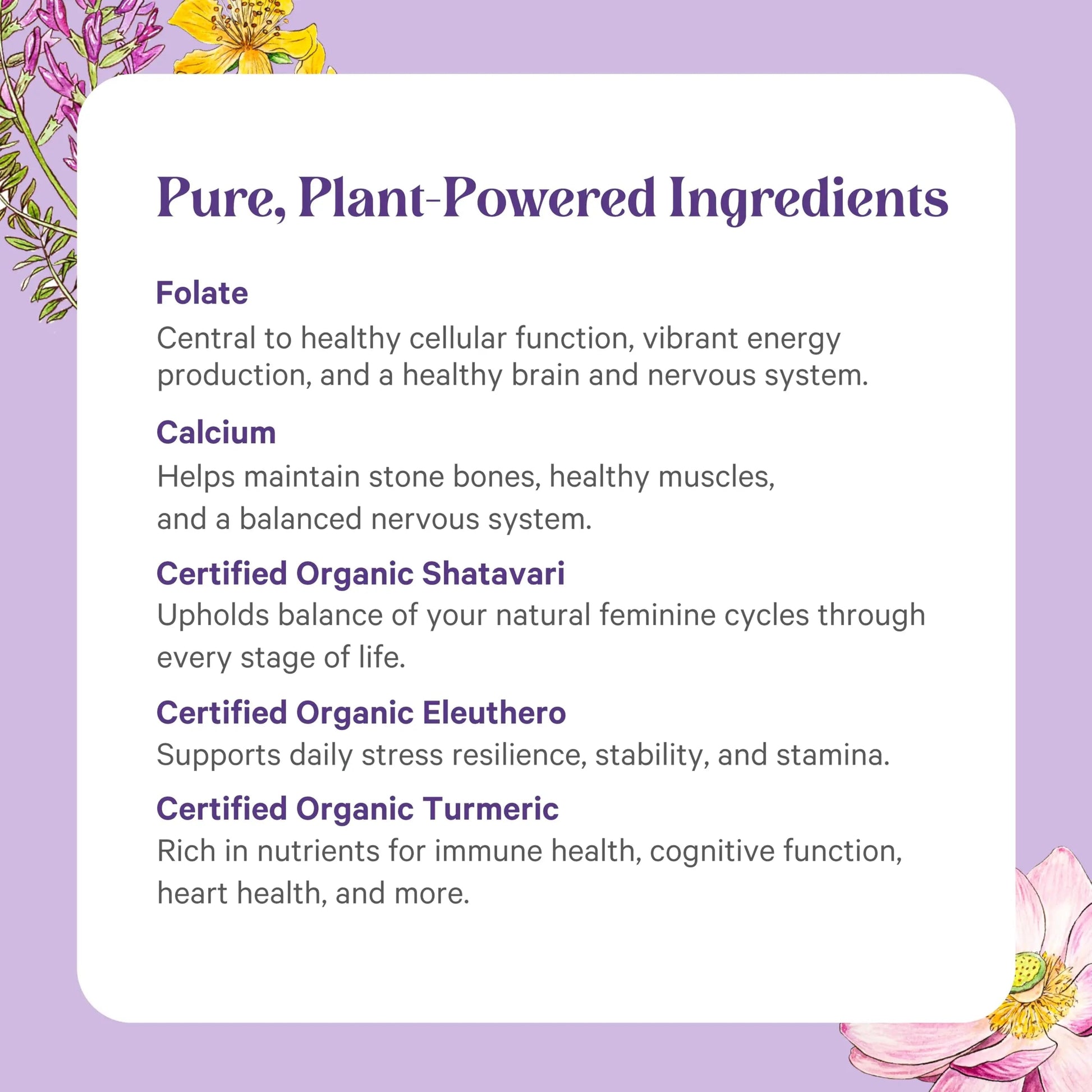 PURE SYNERGY Vita·Min·Herb for Women | Women’s Comprehensive Multivitamin Supplement | Made with Organic Whole Food Non-GMO & Vegan Ingredients | PURE SYNERGYAu supplements