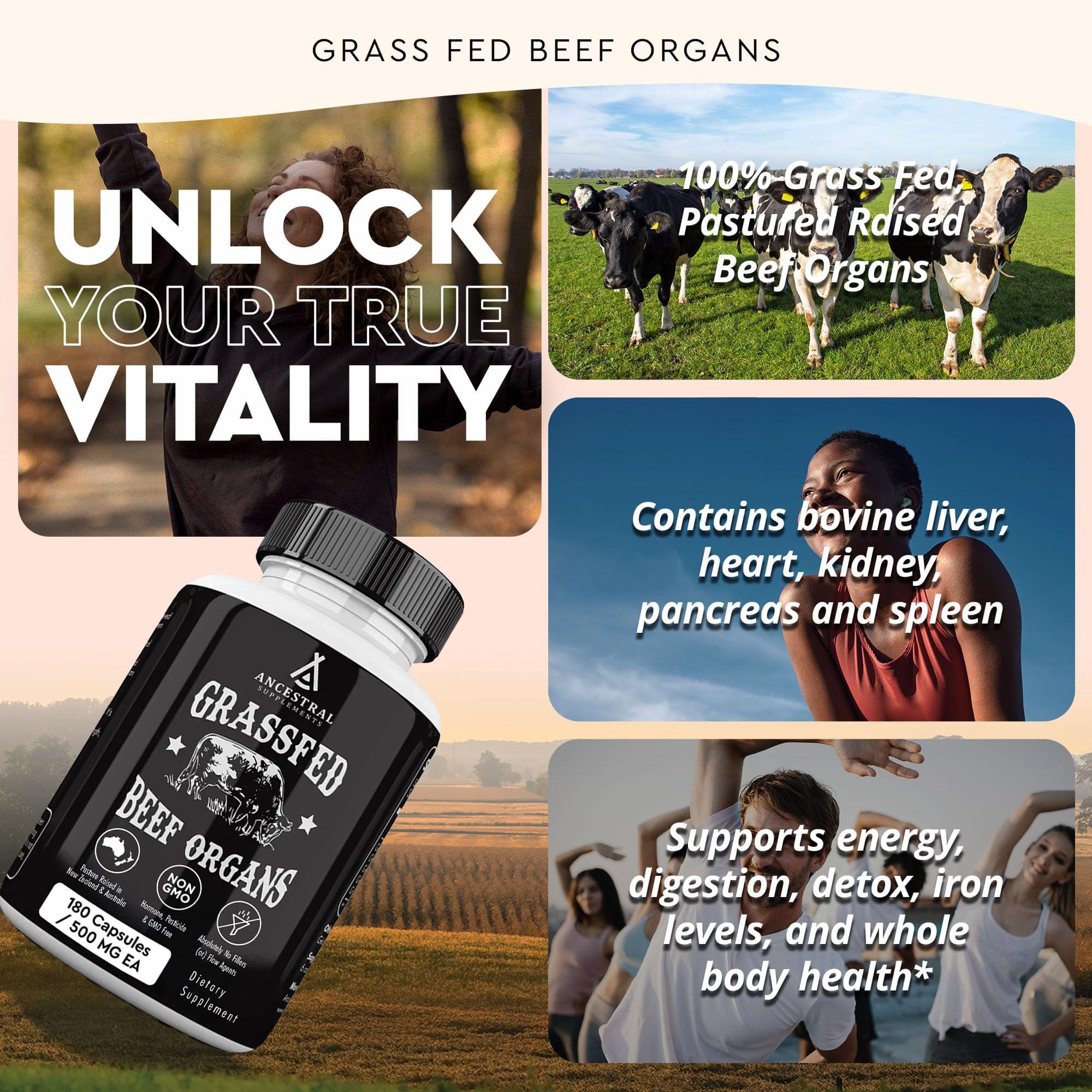 Ancestral Supplements Grass Fed Beef Organ Supplement, Supports Whole Body Wellness with Proprietary Blend of Liver, Heart, Kidney, Pancreas, Spleen, Freeze-Dried Beef, Non-GMO, 180 Capsules Ancestral SupplementsAu supplements