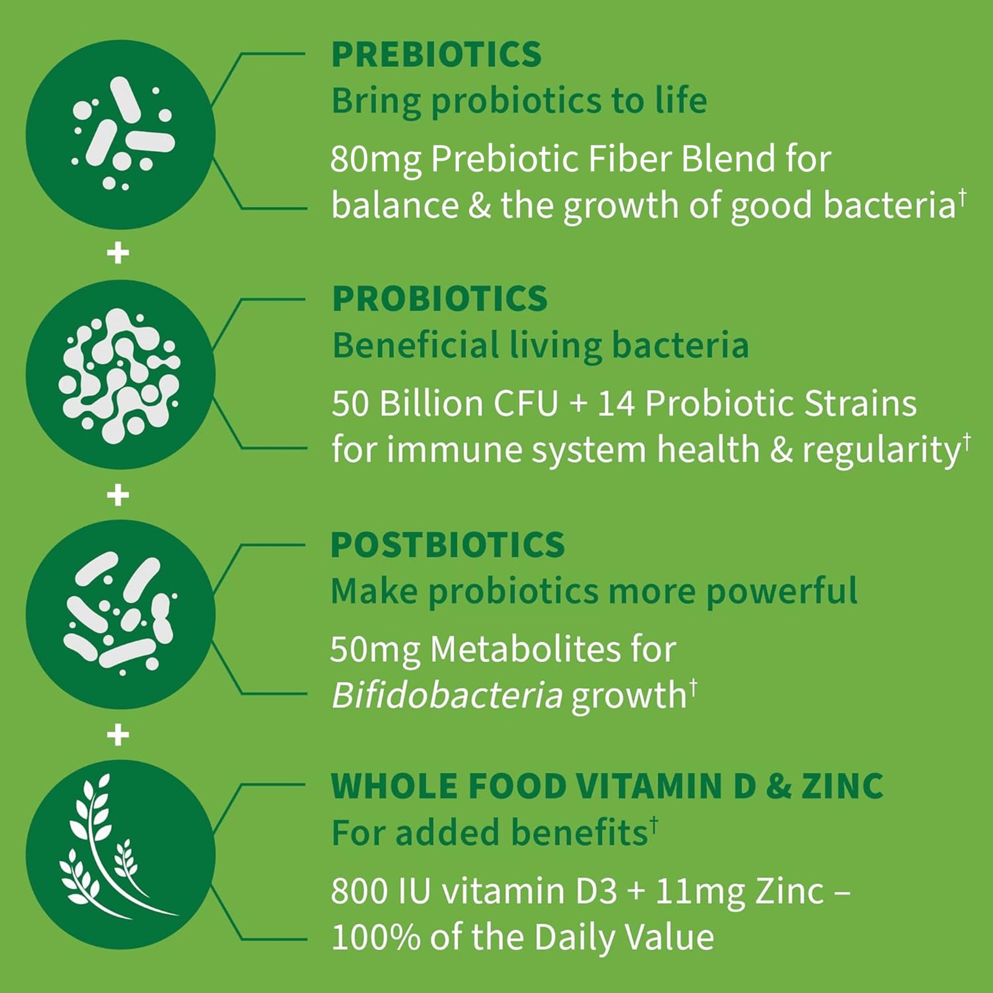 Garden of Life Dr. Formulated Pre, Post & Probiotics Immune Support with Prebiotics & Postbiotics – 50 Billion CFU, Gut & Digestive Health Support, Zinc & Vitamin D3, Vegan, 30 Day Supply Garden of LifeAu supplements