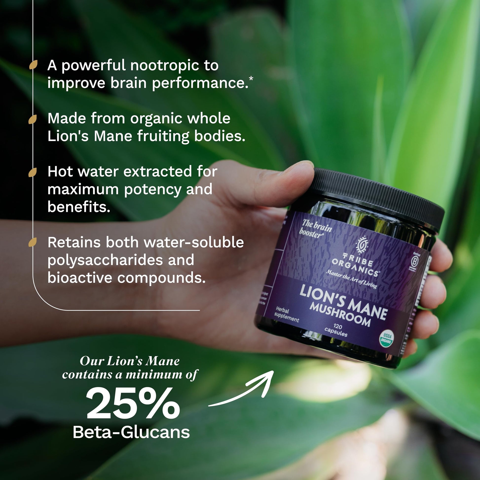 TRIBE ORGANICS Lion’s Mane Supplement 1000mg Mushroom Extract Powder - Immune System Booster & Brain Nootropic for Focus and Memory | Mental Clarity | Natural Energy and Immunity - 120 Vegan Capsules TRIBE ORGANICSAu supplements