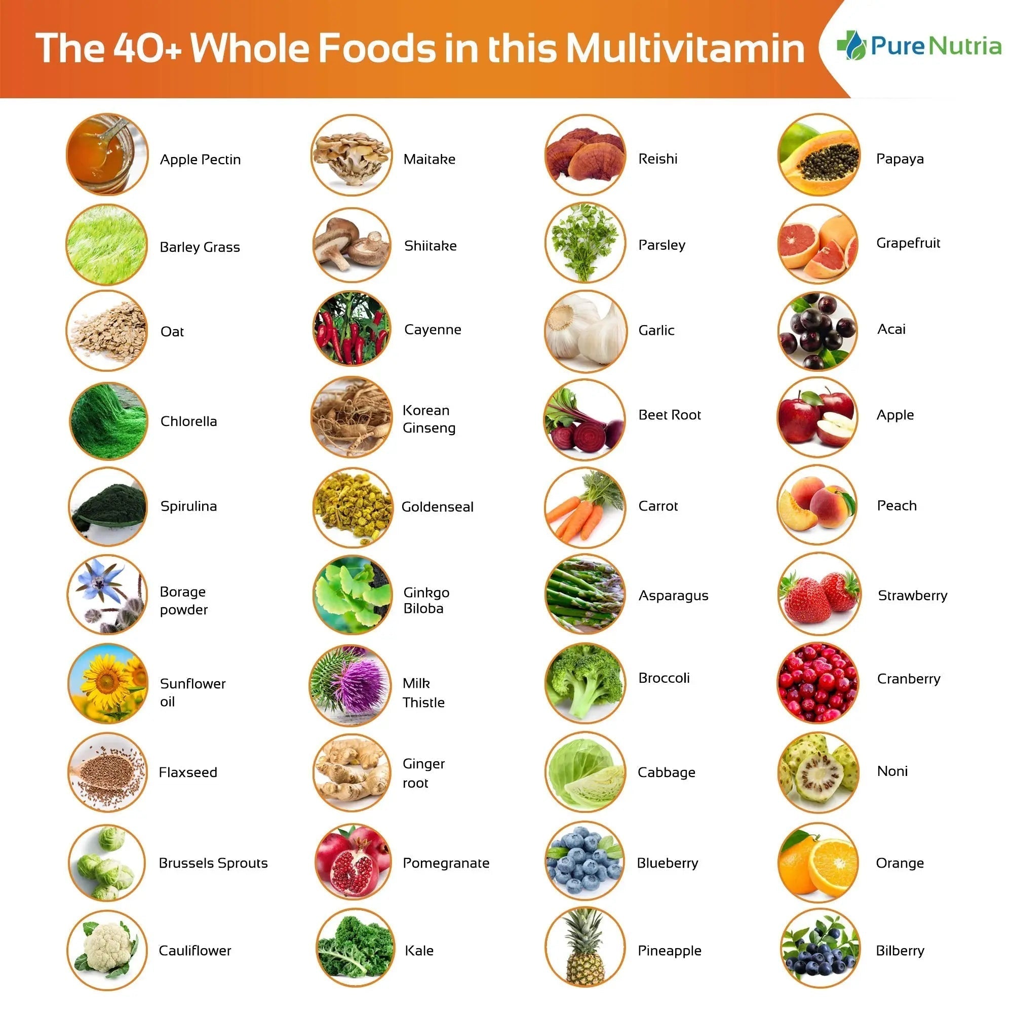 Whole Food MultiVitamin and Minerals with Probiotic Enzymes - 120 Multivitamins for Women and Men - Packed with WholeFood and Herbal Ingredients PureNutriaAu supplements