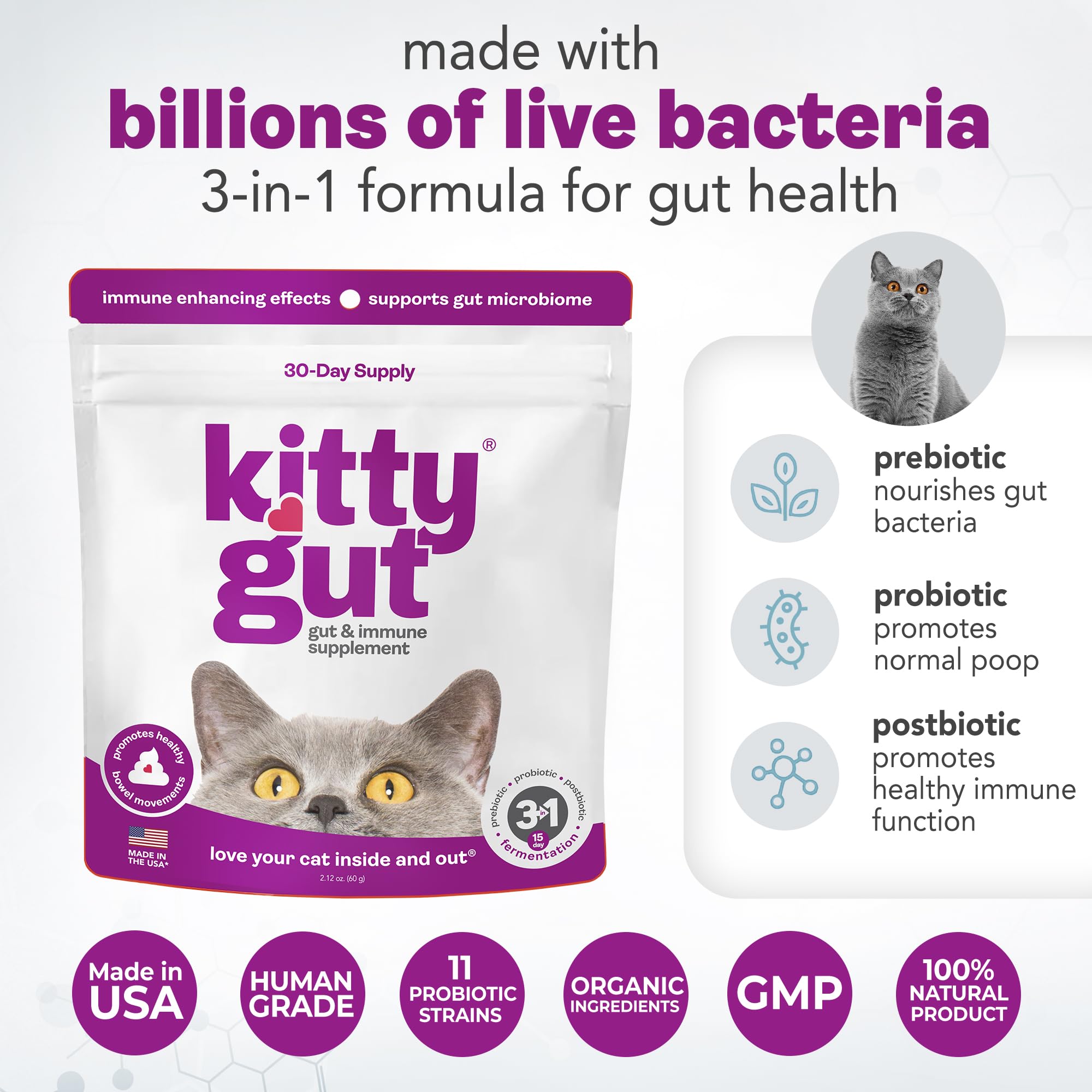 KittyGut 3-in-1 Organic Cat Probiotics & Postbiotic Supplement Powder- Made in USA-Probiotics for Cats Promote Gut Health and Cat Digestive Support, Diarrhea and Vomiting (60g) MUTTGUTAu supplements