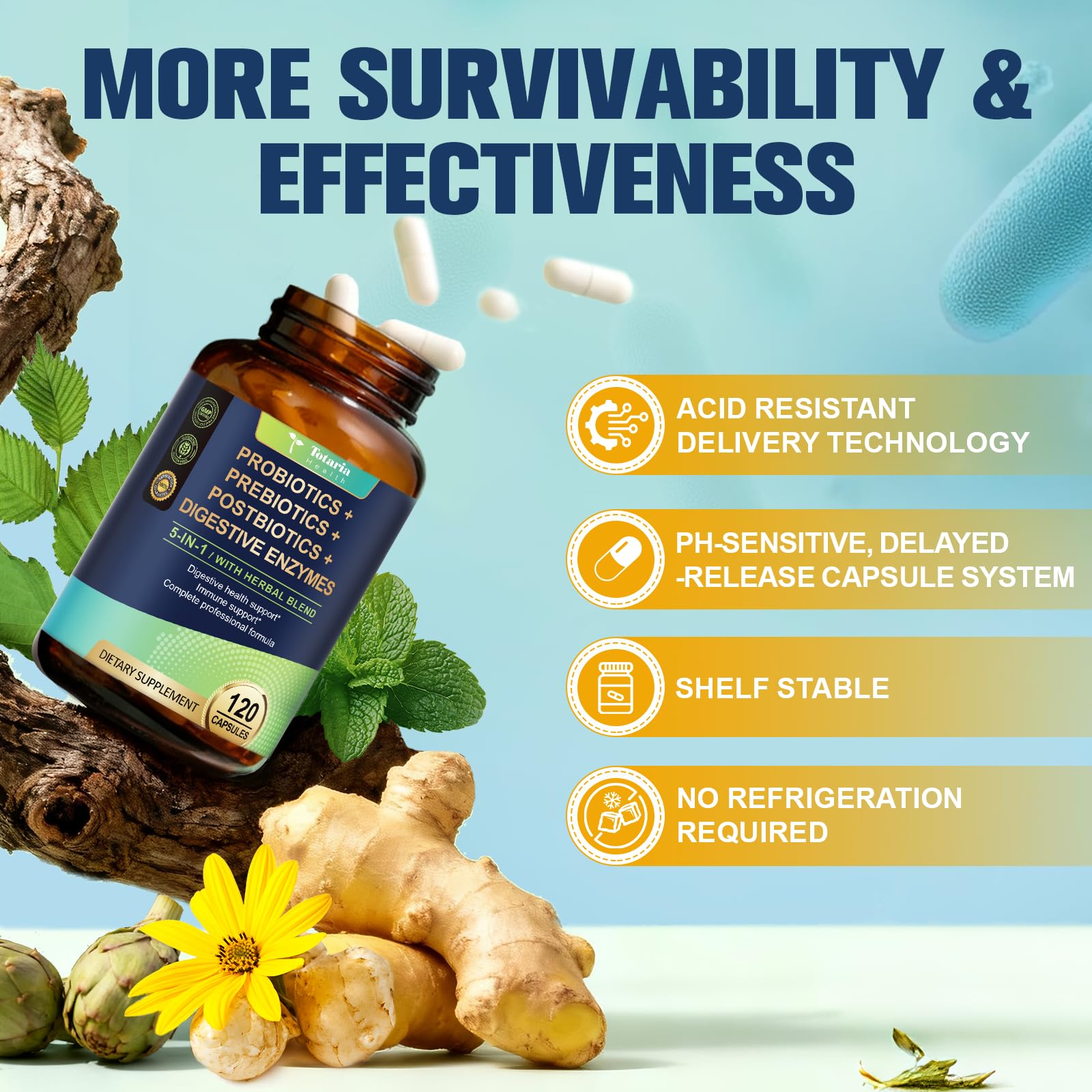 Totaria (2 Packs) 5-in-1 Probiotic Prebiotic & Postbiotic for Women Men, 60 Billion CFU 24 Strains w/Digestive Enzymes, Slippery Elm, Daily Complete Gut Health, Digestive & Immune Support TotariaAu supplements