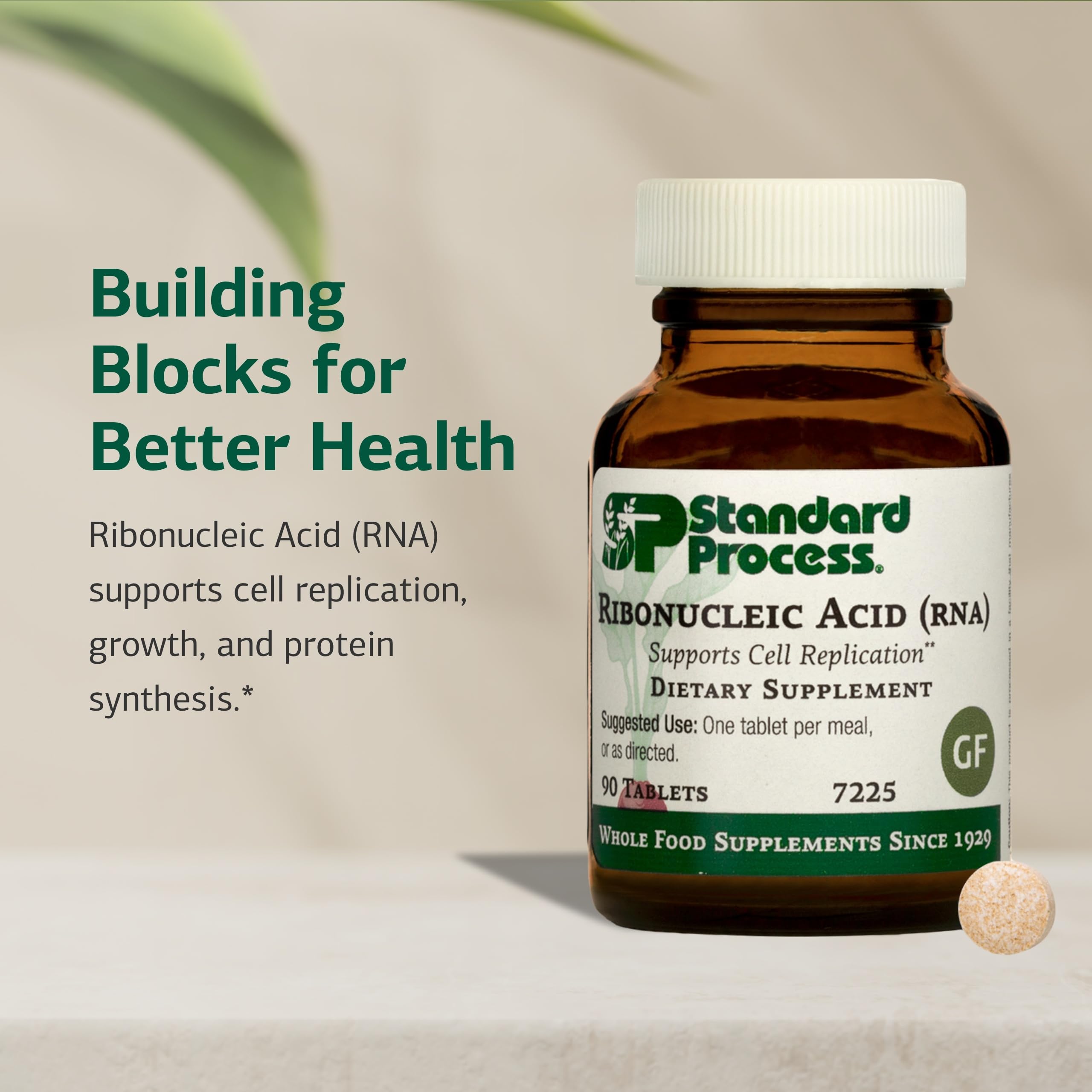 Standard Process Ribonucleic Acid RNA - Cell Development Support - Aids Protein Synthesis - Vegan, Gluten-Free, Non-Soy, & Non-Grain - 90 Tablets (90 Servings) Standard Process Inc.Au supplements