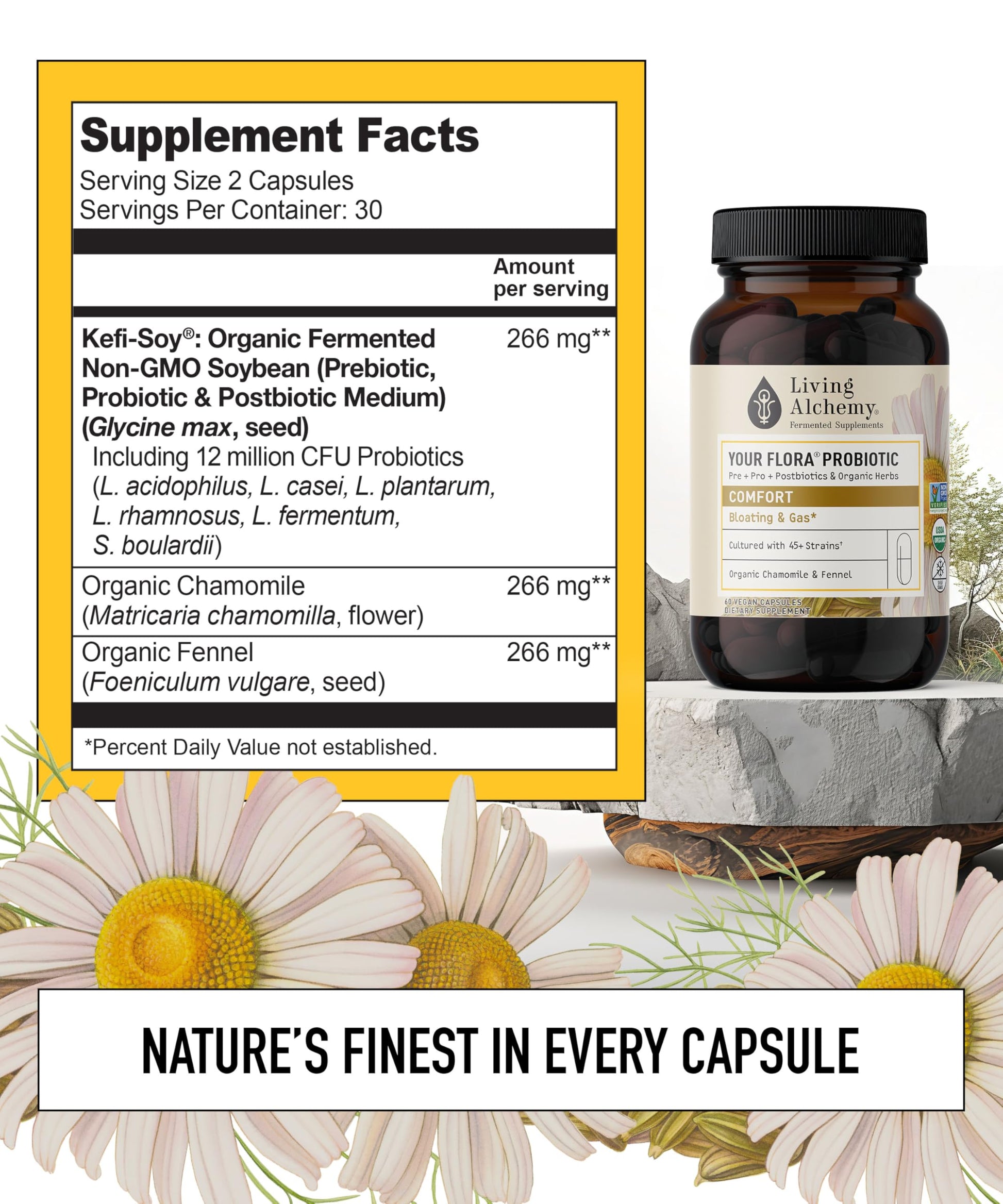 Your Flora Probiotic Comfort – Non-GMO Probiotics with Fermented Soybean, Chamomile, Fennel, Prebiotics, Digestive Enzymes for Digestion & Bloating – Prebiotics, Postbiotics – Living Alchemy, 60 Pcs Living AlchemyAu supplements