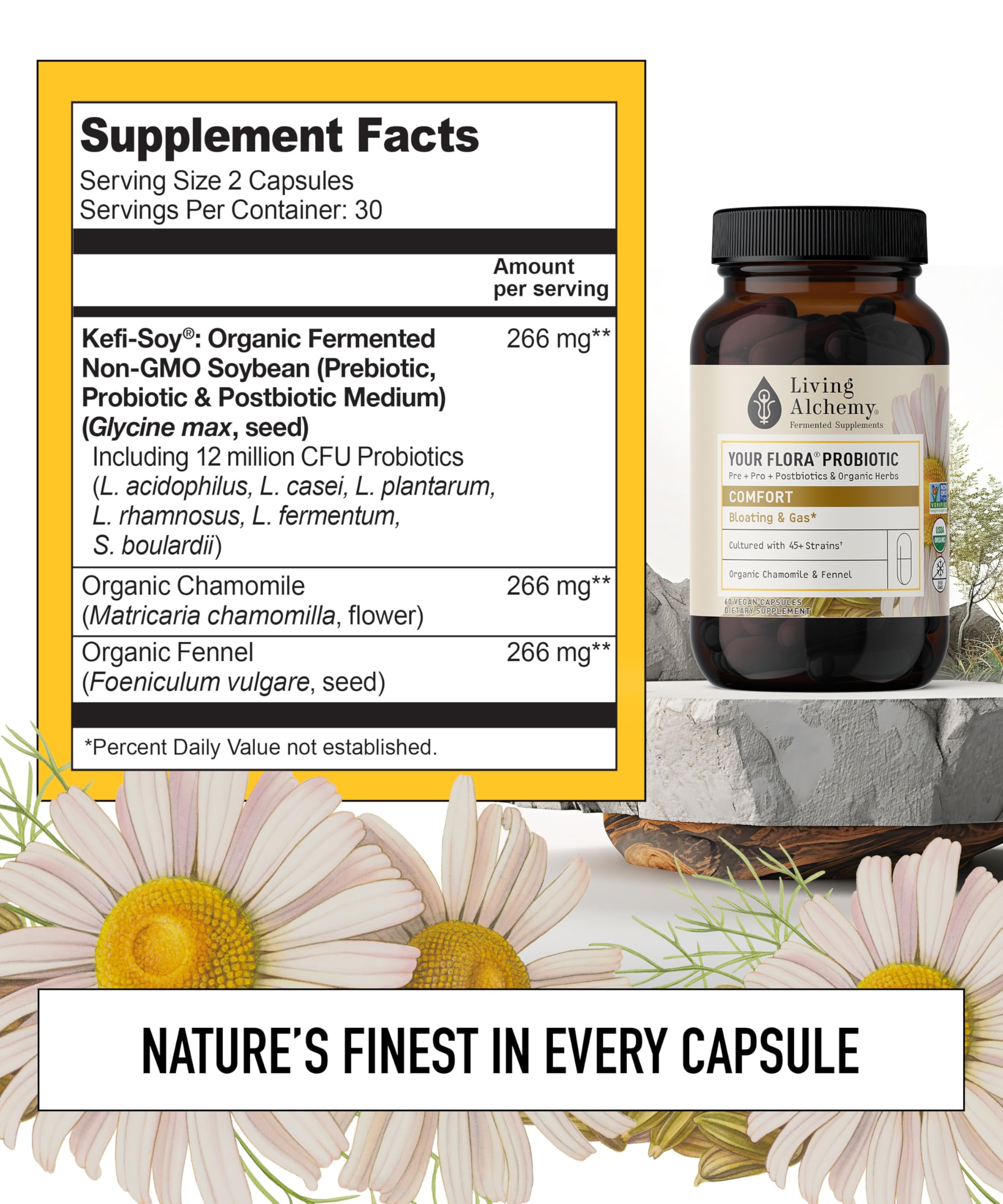 Your Flora Probiotic Comfort – Non-GMO Probiotics with Fermented Soybean, Chamomile, Fennel, Prebiotics, Digestive Enzymes for Digestion & Bloating – Prebiotics, Postbiotics – Living Alchemy, 60 Pcs Living AlchemyAu supplements