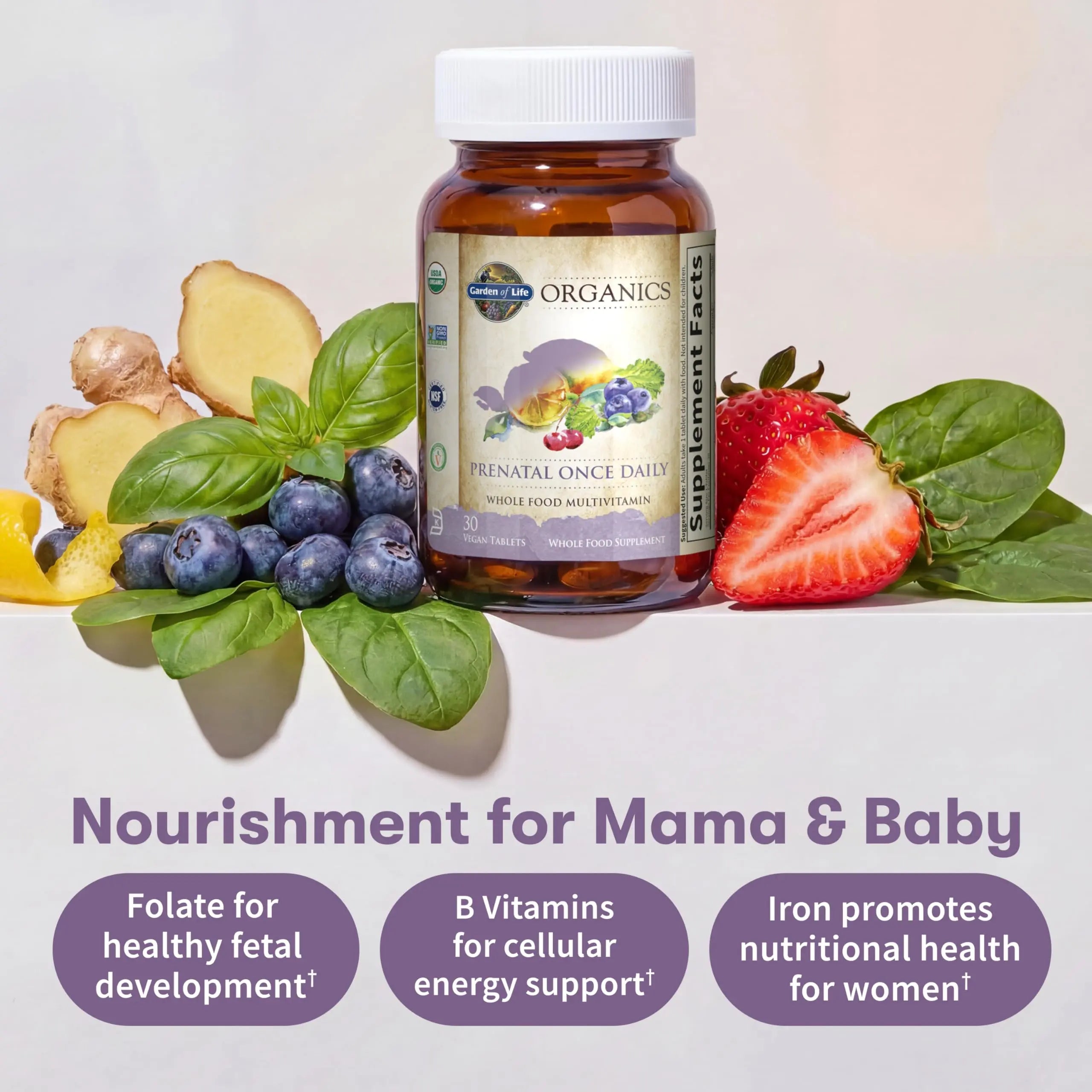 Garden of Life Organics Prenatal Vitamin: Folate for Energy & Healthy Fetal Development, Non-constipating Iron, Vitamin C, B6, B12, D3 – Organic, Non-GMO, Gluten-Free, Vegan, 30 Day Supply Garden of Lifenz supplements