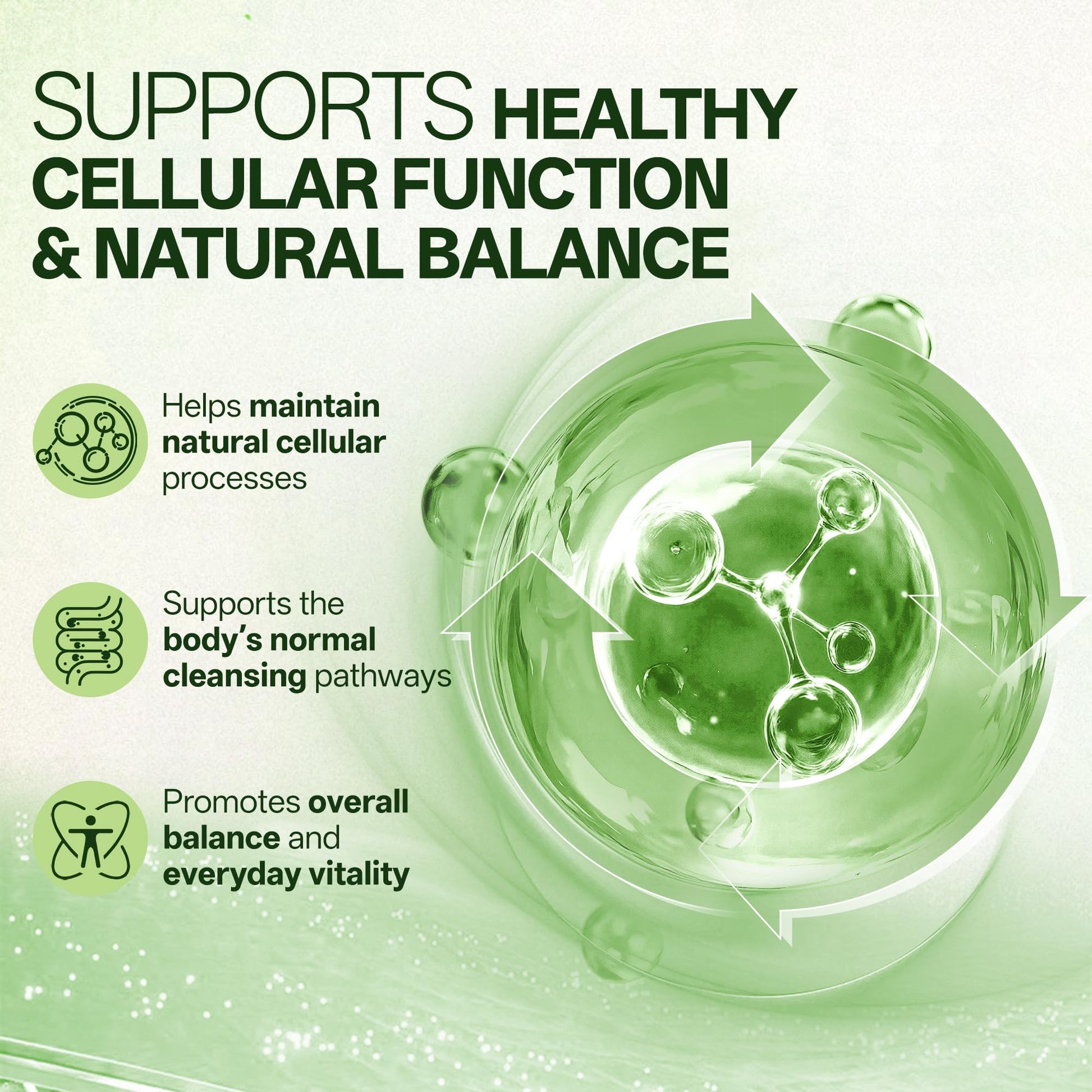 Liposomal Sulforaphane 500mg Supplement from Broccoli Extract with Quercetin, Black Pepper & Vitamin C – Antioxidant, Detox & Cellular Support, Cellular Health Formula for Men & Women, 60 Capsules inGreensAu supplements