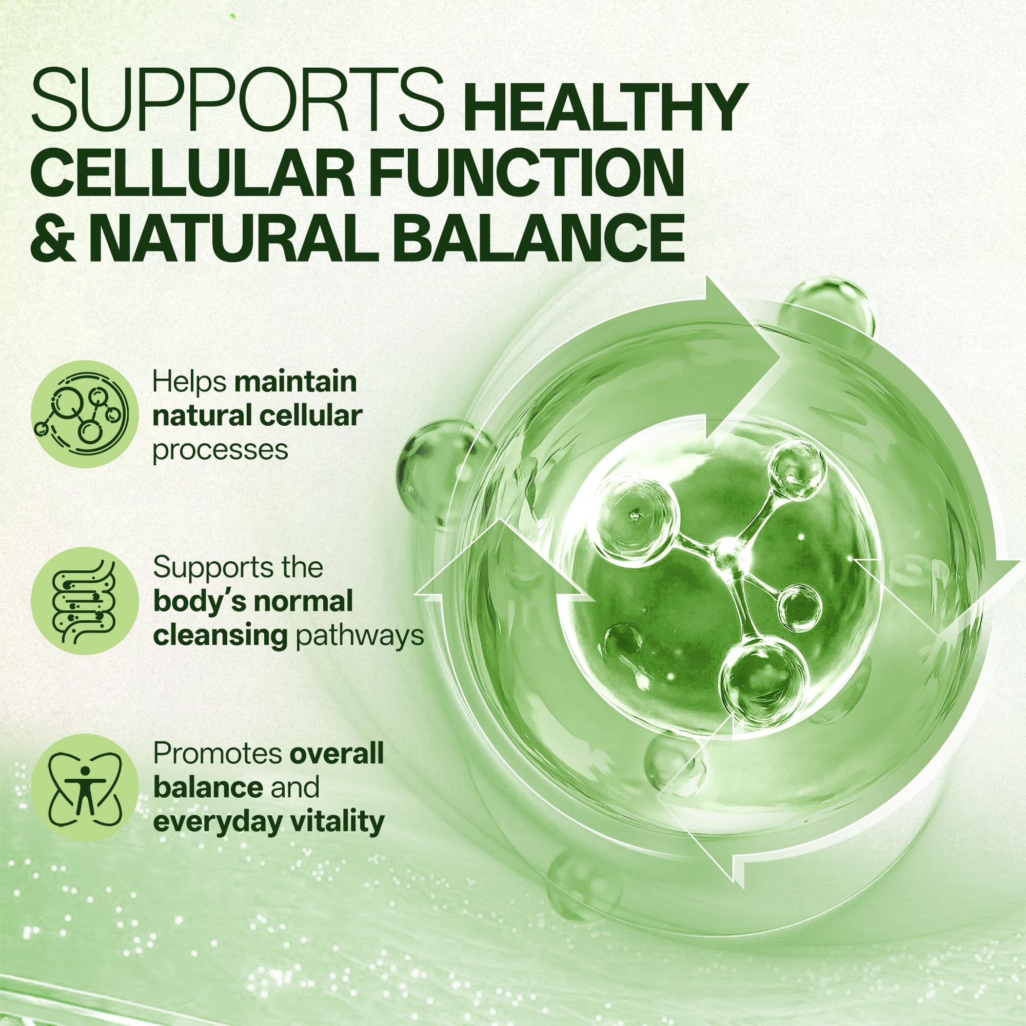 Liposomal Sulforaphane 500mg Supplement from Broccoli Extract with Quercetin, Black Pepper & Vitamin C – Antioxidant, Detox & Cellular Support, Cellular Health Formula for Men & Women, 60 Capsules inGreensAu supplements