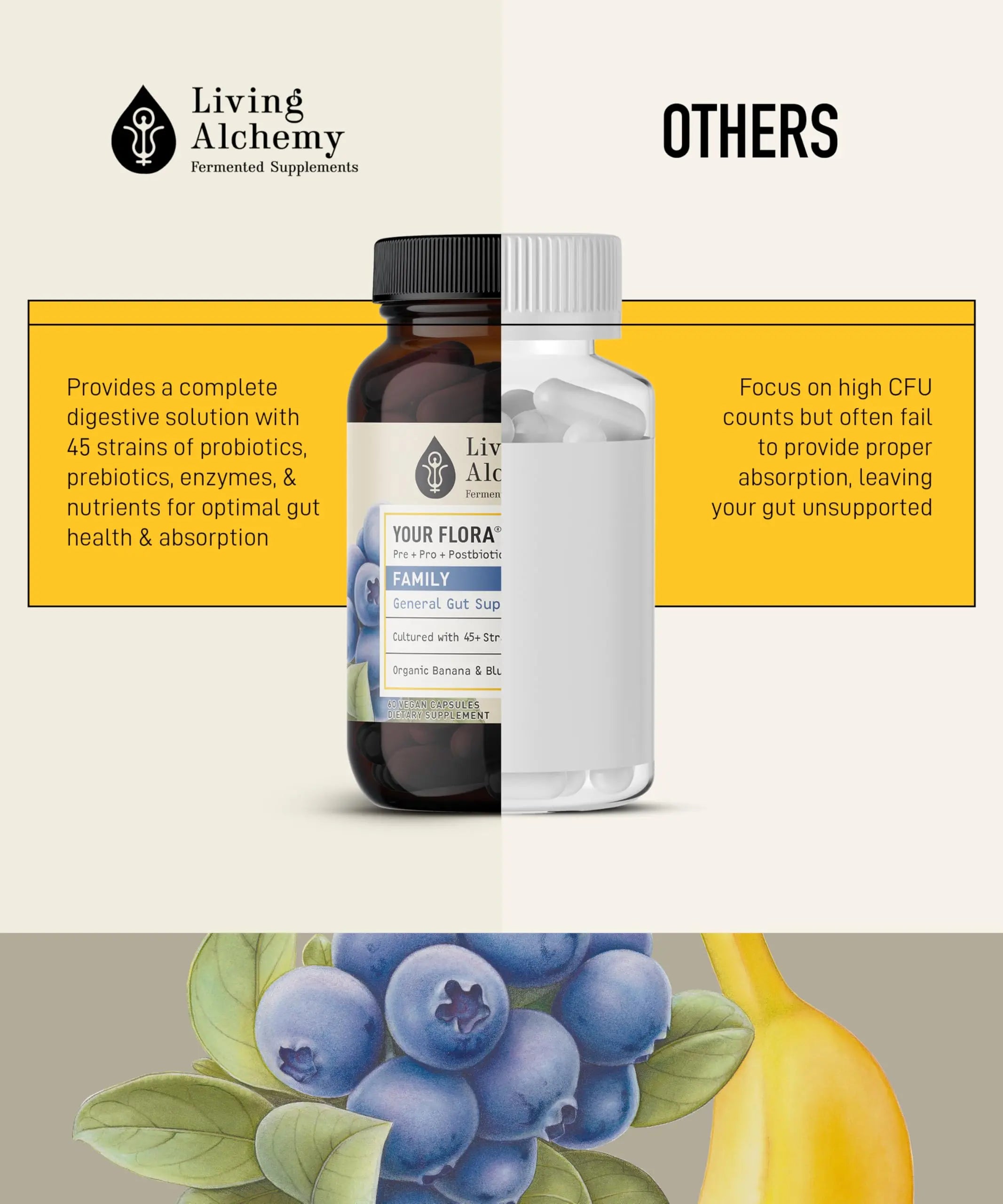 Your Flora Probiotic Family – Non-GMO Probiotics with Fermented Soybean, Banana, & Blueberry for Digestion & Gut Support – Prebiotics, Postbiotics, Digestive Enzymes – Living Alchemy, 60 Capsules Living Alchemynz supplements