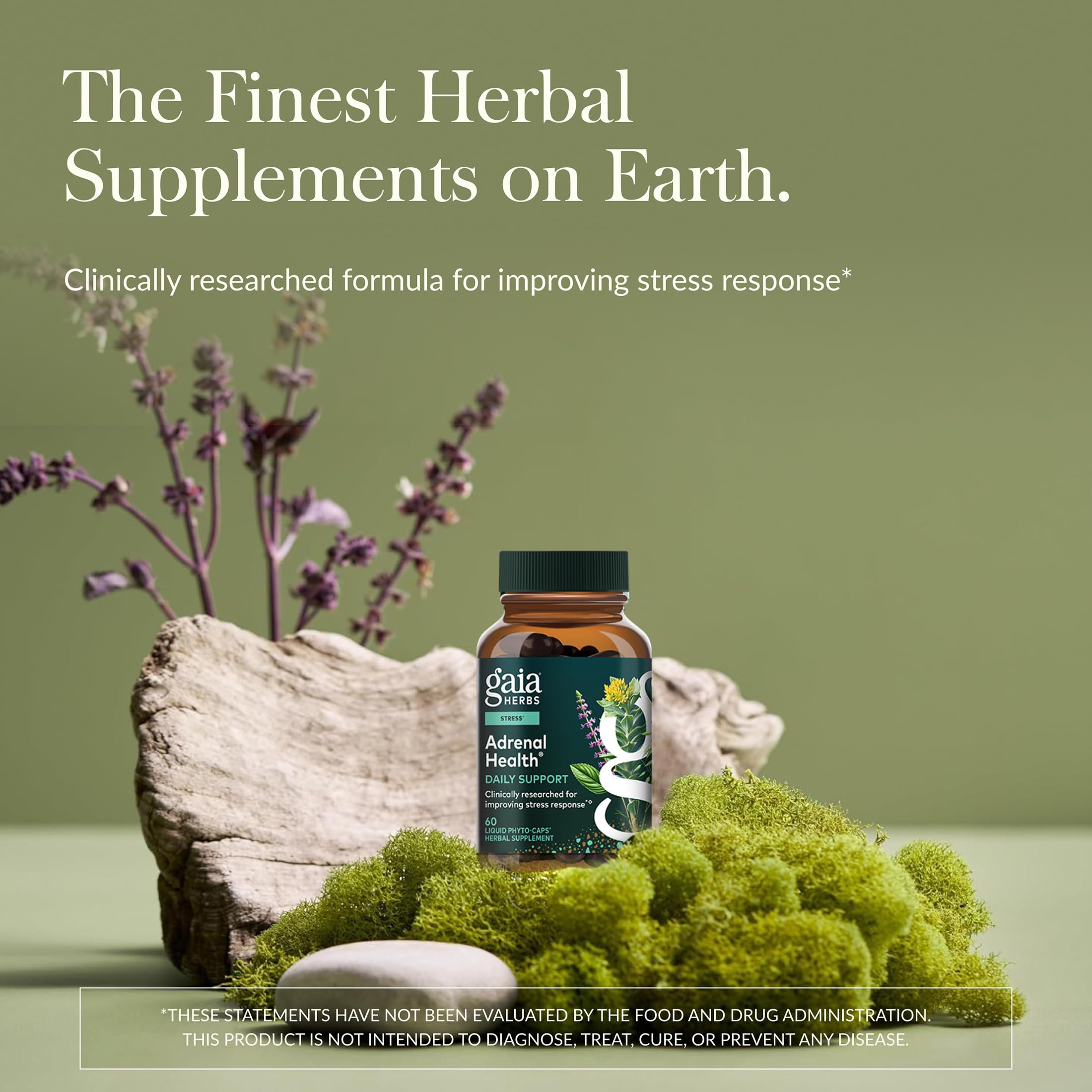 Gaia Herbs Adrenal Health Daily Support - Herbal Supplement with Ashwagandha, Holy Basil & Schisandra - Help Maintain Healthy Energy & Stress Levels* - 60 Vegan Liquid Phyto-Caps (30 Servings) Gaia HerbsAu supplements