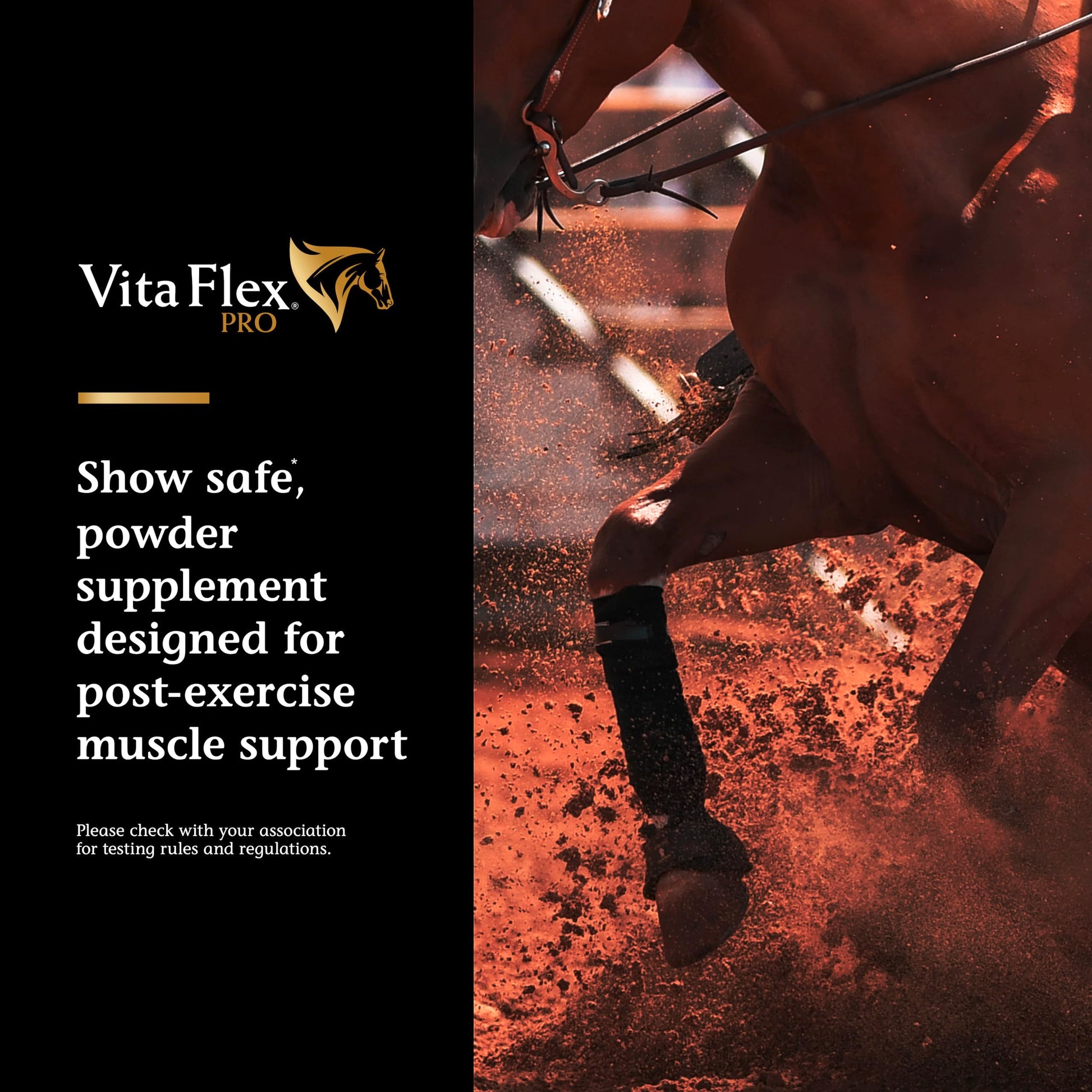 Vita Flex Pro Recovery by the Makers of Lactanase, Post Performance Horse Supplements 40 g, Show Safe Muscle Recovery Supplements, Amino Acids for Horses, Strength & Joint Health Vita FlexAu supplements
