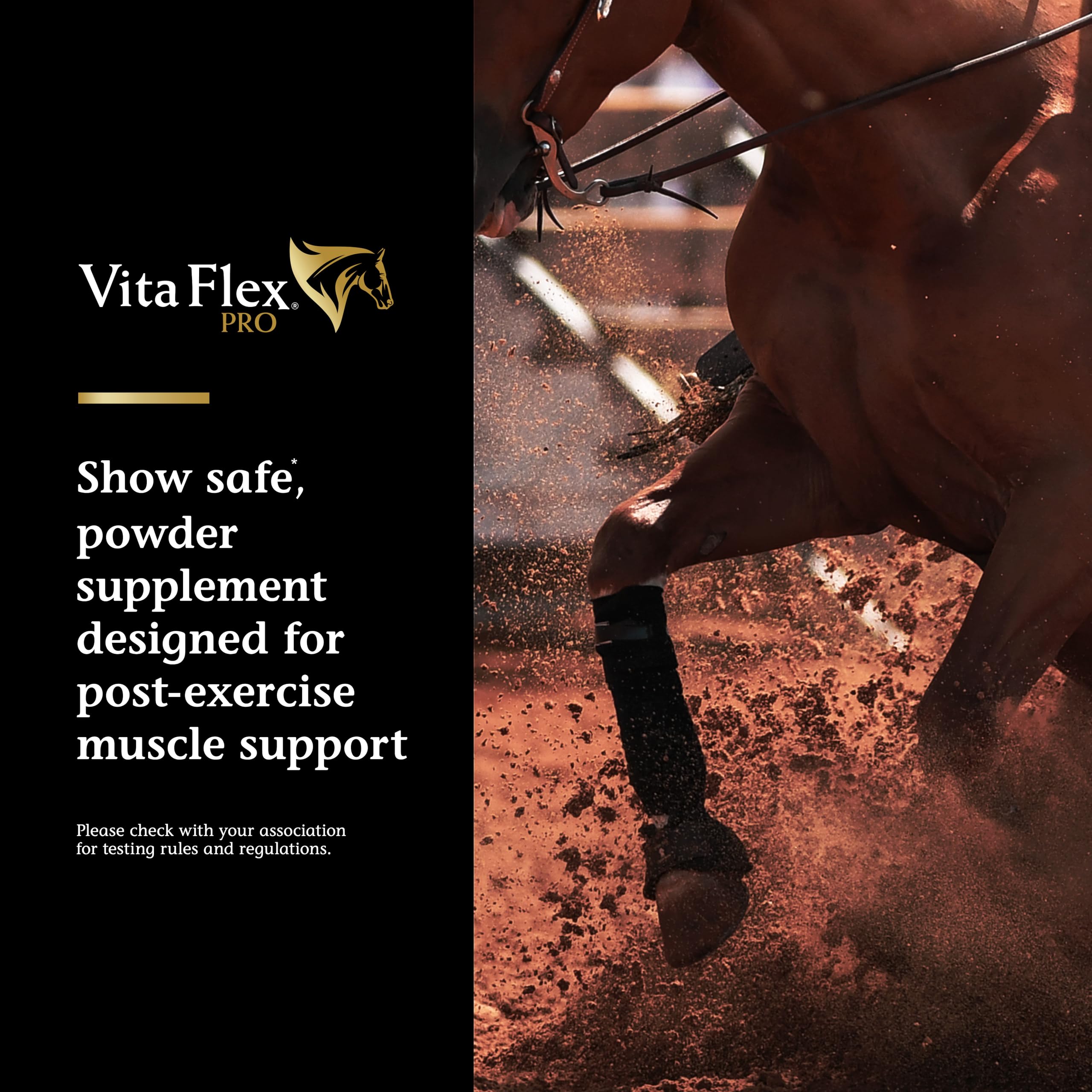 Vita Flex Pro Recovery by the Makers of Lactanase, Post Performance Horse Supplements 40 g, Show Safe Muscle Recovery Supplements, Amino Acids for Horses, Strength & Joint Health Vita FlexAu supplements