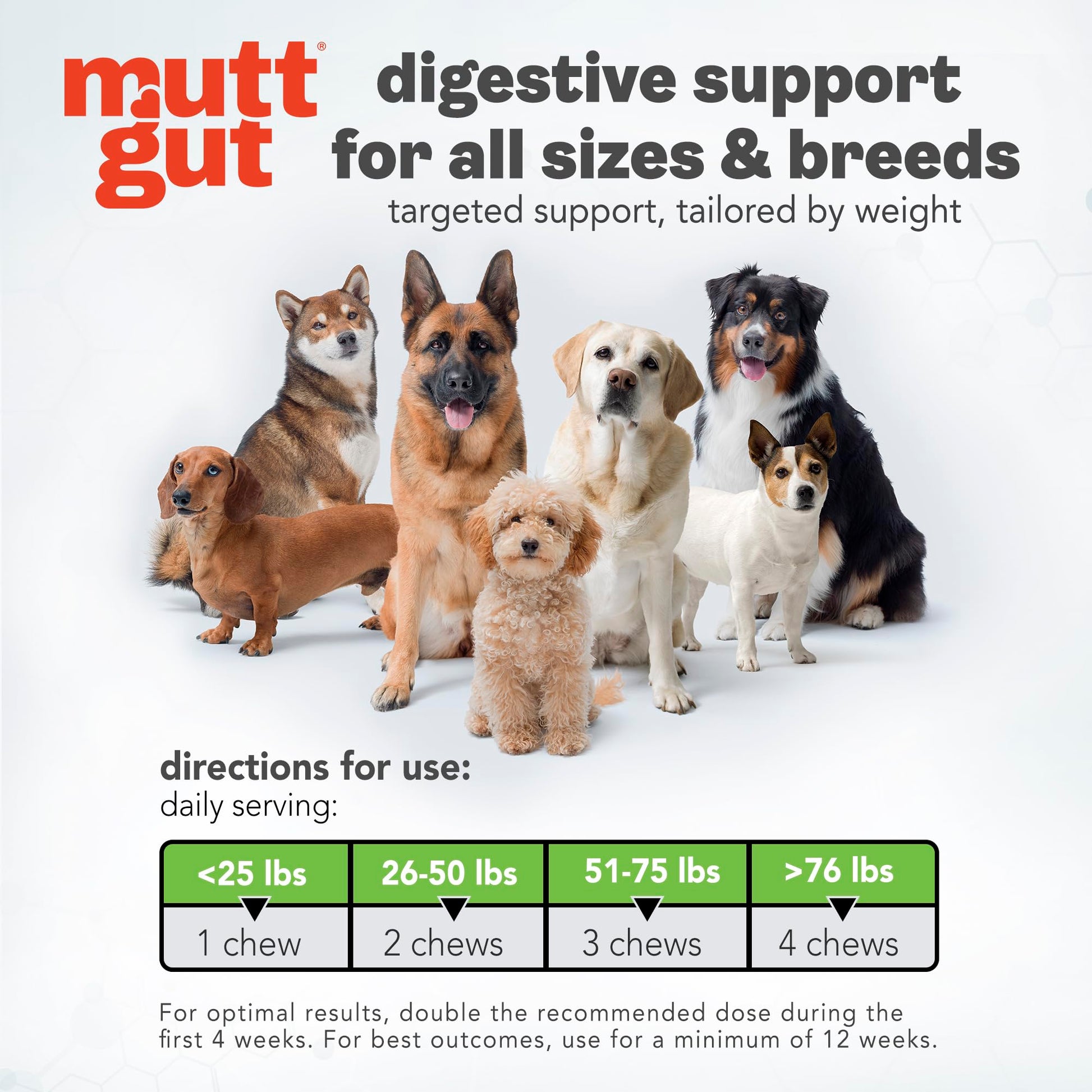 MuttGut® 3-in-1 Puppy & Dog Probiotics + Prebiotics + Postbiotics Chews - Promotes Digestive Health, Supports Immune System and Overall Health - Dog Diarrhea Relief & Immune Support - 60 Soft Chews MUTTGUTAu supplements