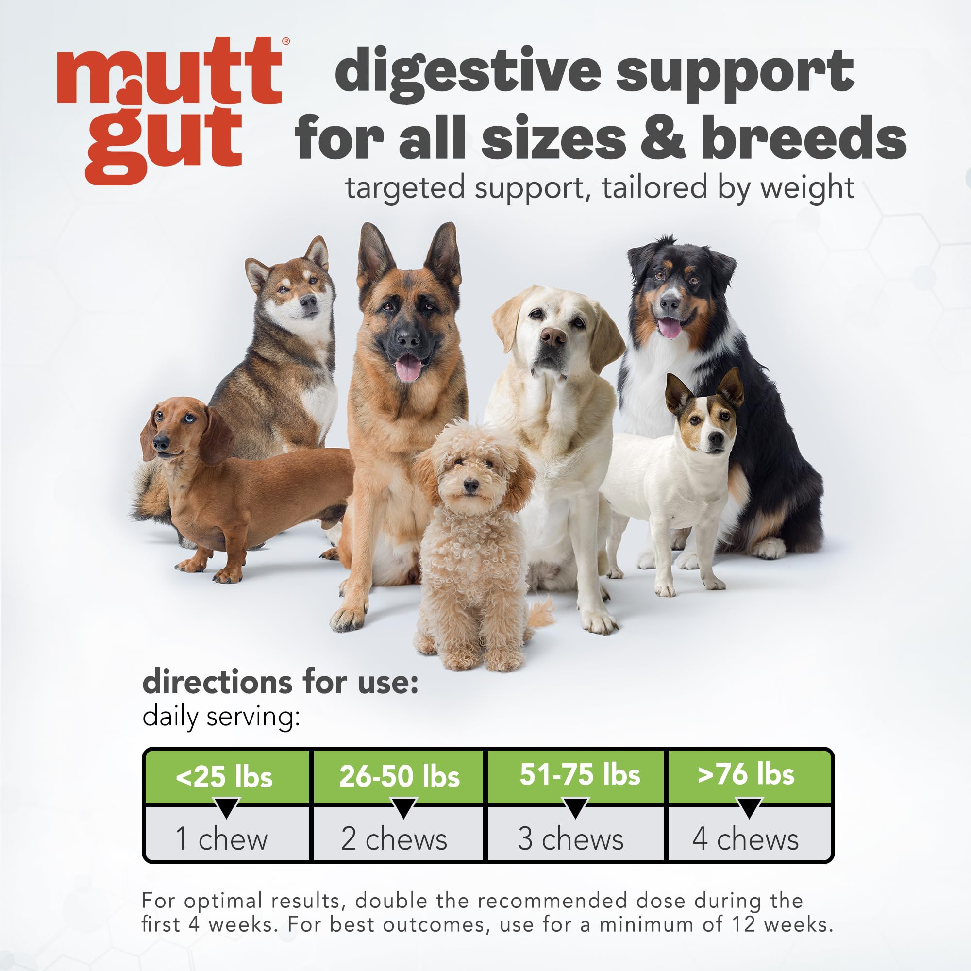 MuttGut® 3-in-1 Puppy & Dog Probiotics + Prebiotics + Postbiotics Chews - Promotes Digestive Health, Supports Immune System and Overall Health - Dog Diarrhea Relief & Immune Support - 60 Soft Chews MUTTGUTAu supplements