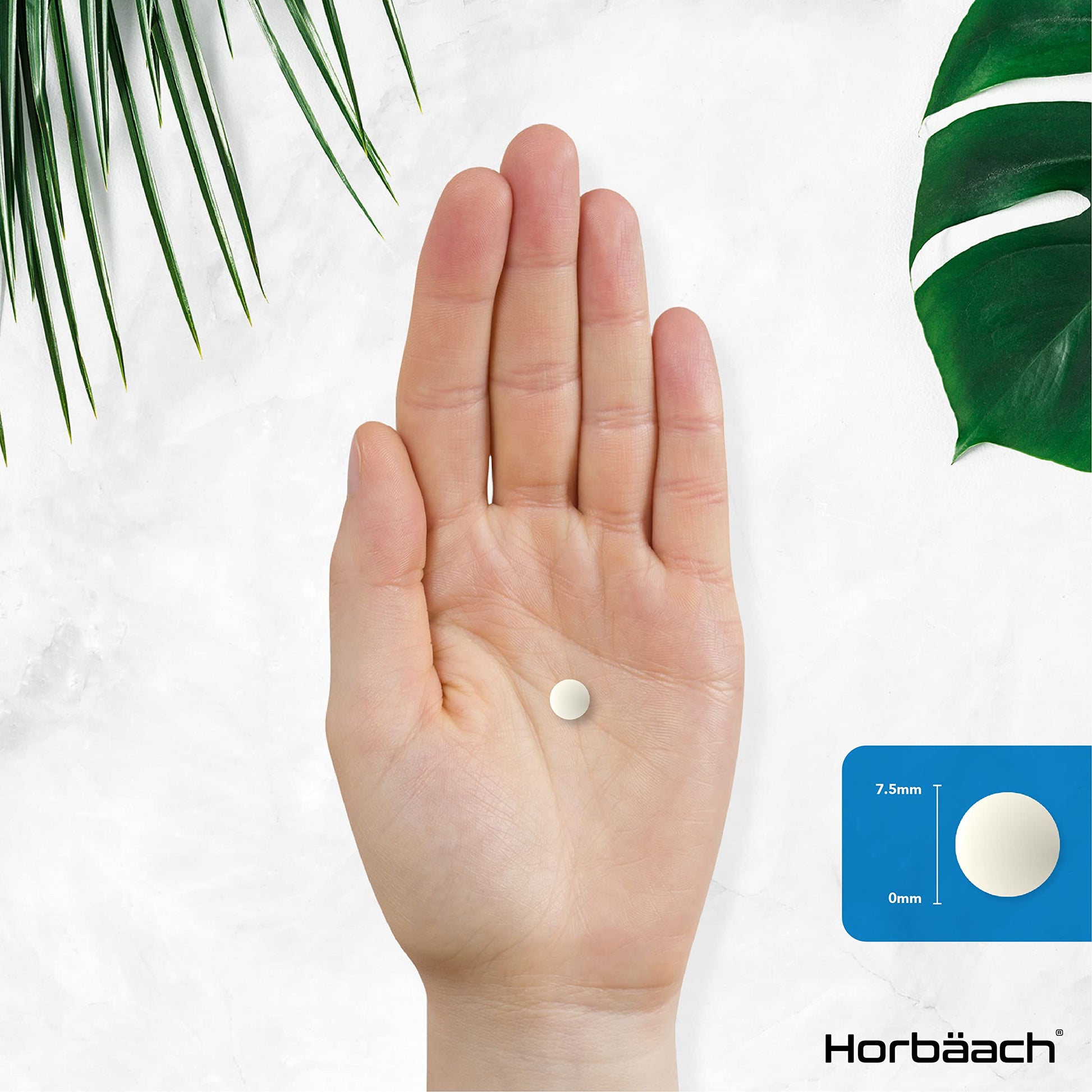 Vitamin K2 MK7 200ug | 365 Vegan Tablets | High Strength Menaquinone MK-7 HorbäachUS supplements