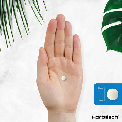 Vitamin K2 MK7 200ug | 365 Vegan Tablets | High Strength Menaquinone MK-7 HorbäachUS supplements