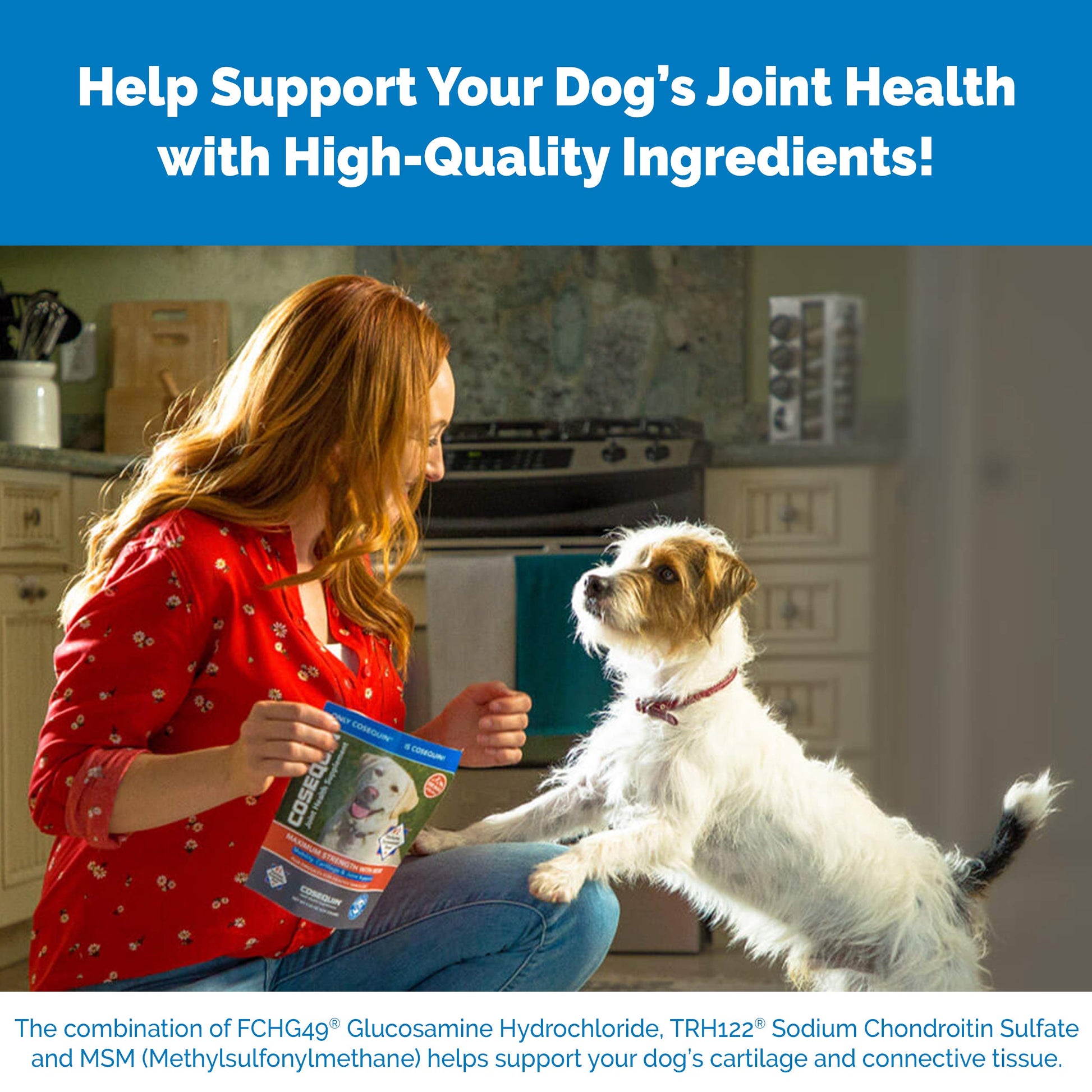 Nutramax Laboratories Cosequin Maximum Strength Joint Health Supplement for Dogs Nutramax LaboratoriesUS supplements