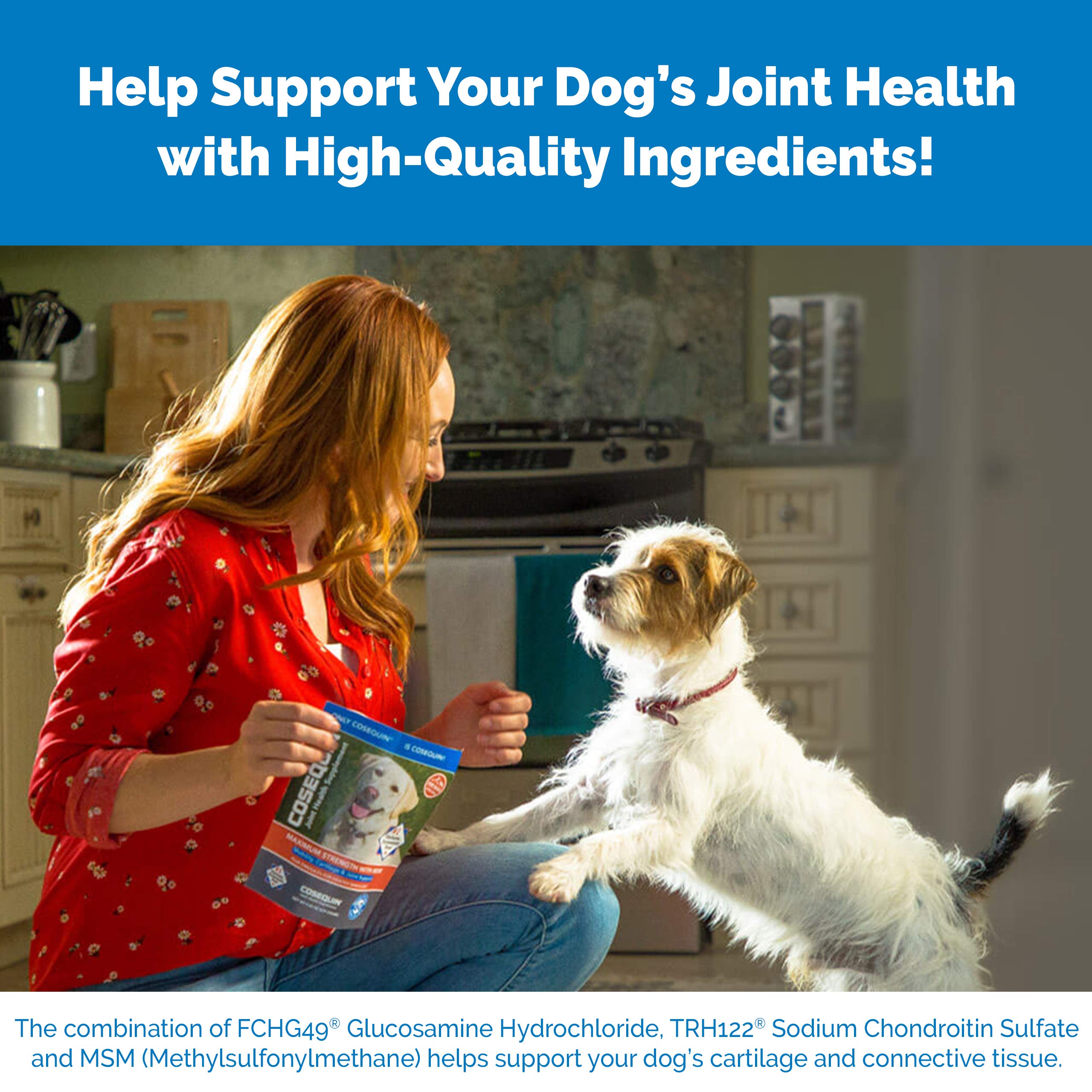 Nutramax Laboratories Cosequin Maximum Strength Joint Health Supplement for Dogs Nutramax LaboratoriesUS supplements