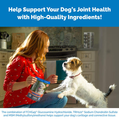 Nutramax Laboratories Cosequin Maximum Strength Joint Health Supplement for Dogs Nutramax LaboratoriesUS supplements