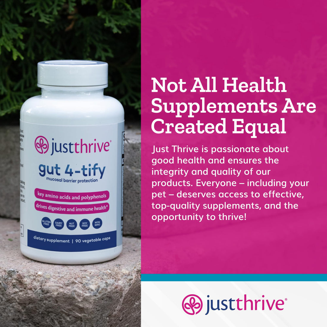 Just Thrive Gut 4-tify - Gut Health Supplements for Women and Men - Anti Bloat, 90 Vegetable Capsules Just ThriveUS supplements