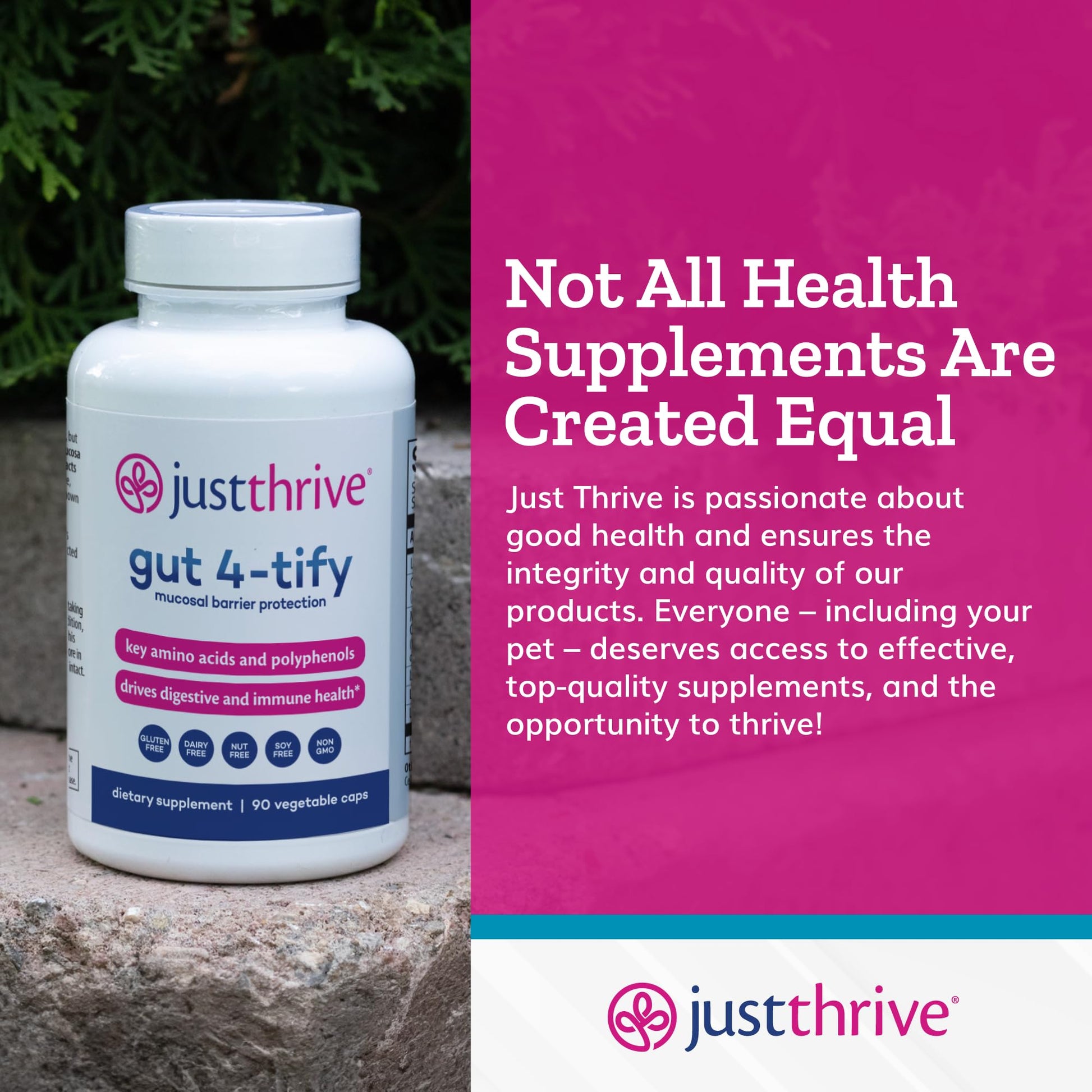 Just Thrive Gut 4-tify - Gut Health Supplements for Women and Men - Anti Bloat, 90 Vegetable Capsules Just ThriveUS supplements