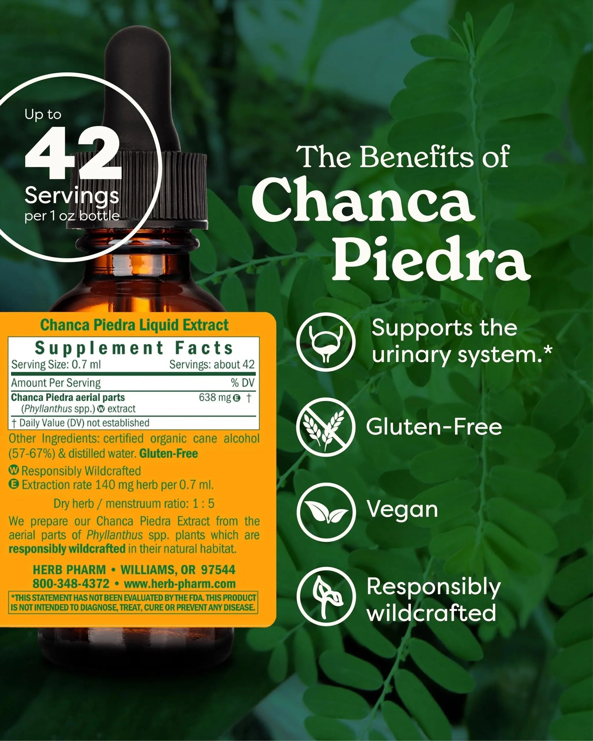 Herb Pharm Chanca Piedra Liquid Extract for Urinary System Support, 1 Fl Oz Herb PharmAu supplements