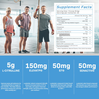 Precium Nutrition Stim Free Pre Workout - Best Non Caffeine Powder No Amazing Power Precium NutritionUS supplements