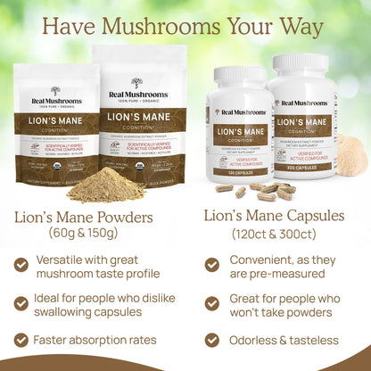 Real Mushrooms Lion’s Mane Powder - Organic Lions Mane Mushroom Extract Real MushroomsUS supplements