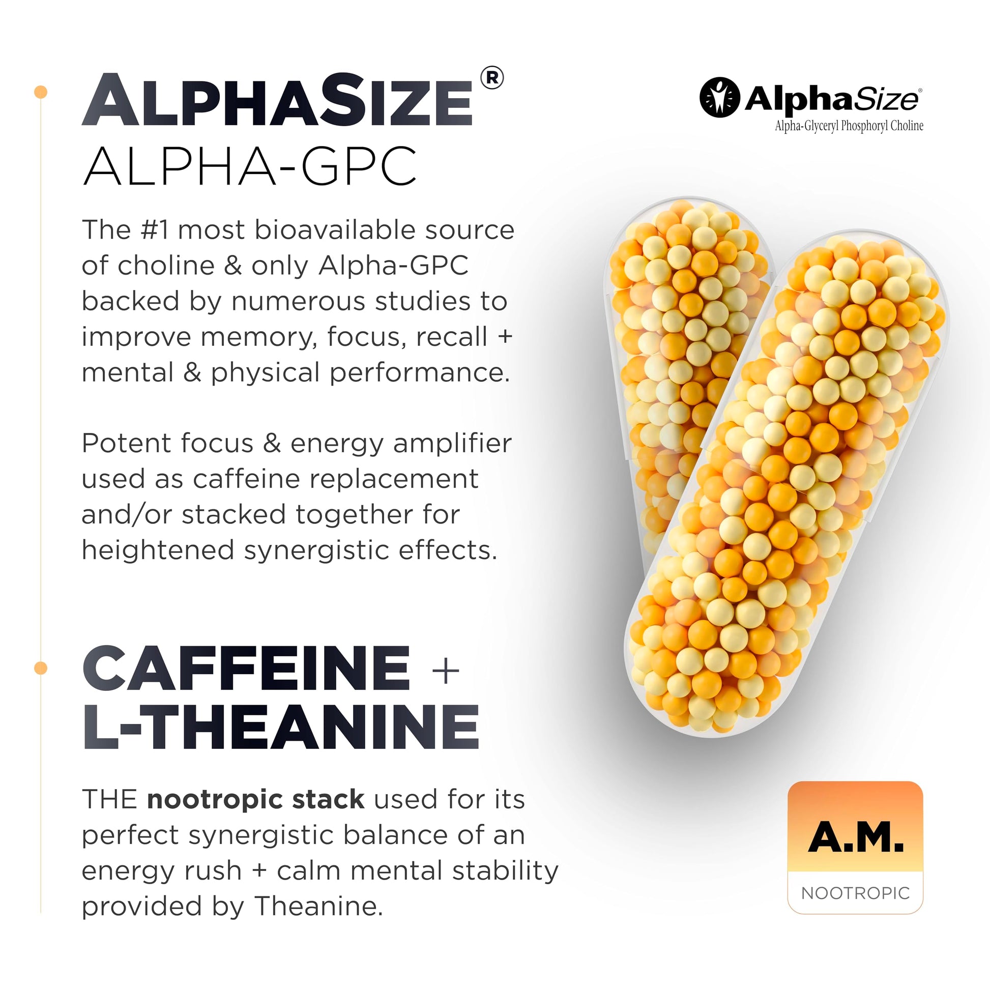 AMPM Nootropic Total Focus + Calm 9X Strength w. Caffeine, L-Theanine, Alpha GPC, L-Tyrosine, Ashwagandha - X-Release Energy Pills Nootropics Brain Support Supplements for Memory and Focus Supplement TERRA ELMNTAu supplements