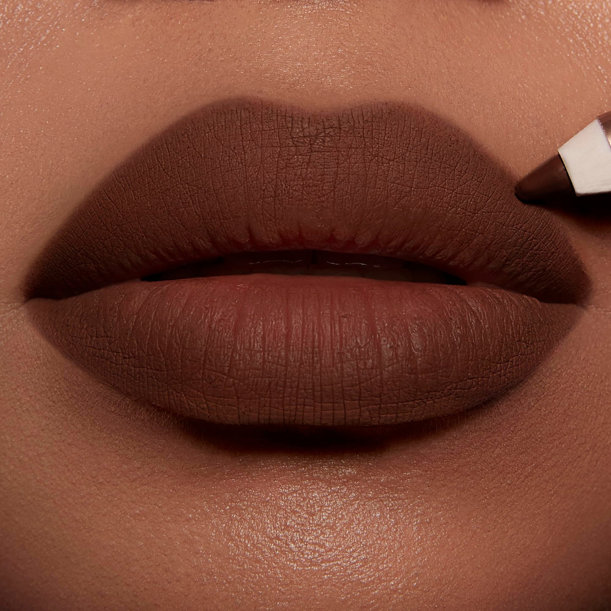 Charlotte Tilbury Lip Cheat Lip Liner Pencil - Gives Lips a Fuller-Looking, Defined Pout - Enriched with Jojoba Oil & Hyaluronic Acid - Waterproof, Smudge-Proof & Transfer-Proof - Foxy Brown Charlotte TilburyAu supplements