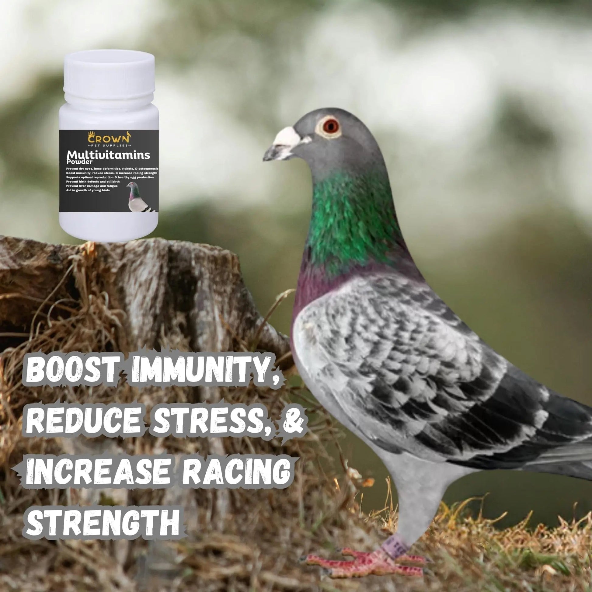 Multivitamin Powder for Pigeons – Ultimate Vitamin Formula for Racing & Breeding – Supports Growth, Bone Strength, Reproductive Health & Feather Health Crown Pet SuppliesAu supplements