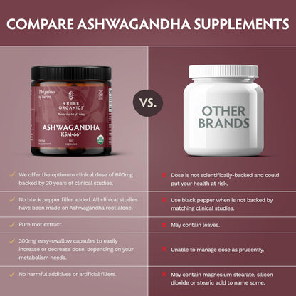 TRIBE ORGANICS Ashwagandha KSM 66 Pure Organic Root Powder Extract Ayurvedic Supplement - Focus, Mood Support, Increase Energy, Strength, 600mg of Natural KSM66 TRIBE ORGANICSUS supplements
