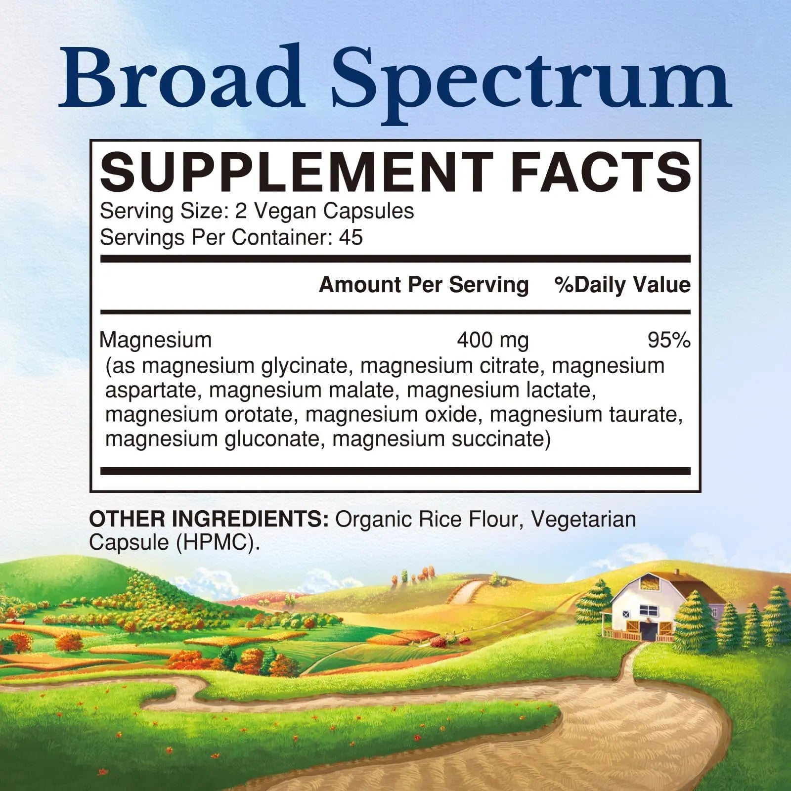 Vitalitown 10 in 1 Magnesium Complex Supplement - 400mg Elemental Magnesium Chelated with Glycinate, Citrate, Malate, Taurate & More - for Sleep Heart Energy - Non-GMO, Vegan, 90 Caps Vitalitownnz supplements