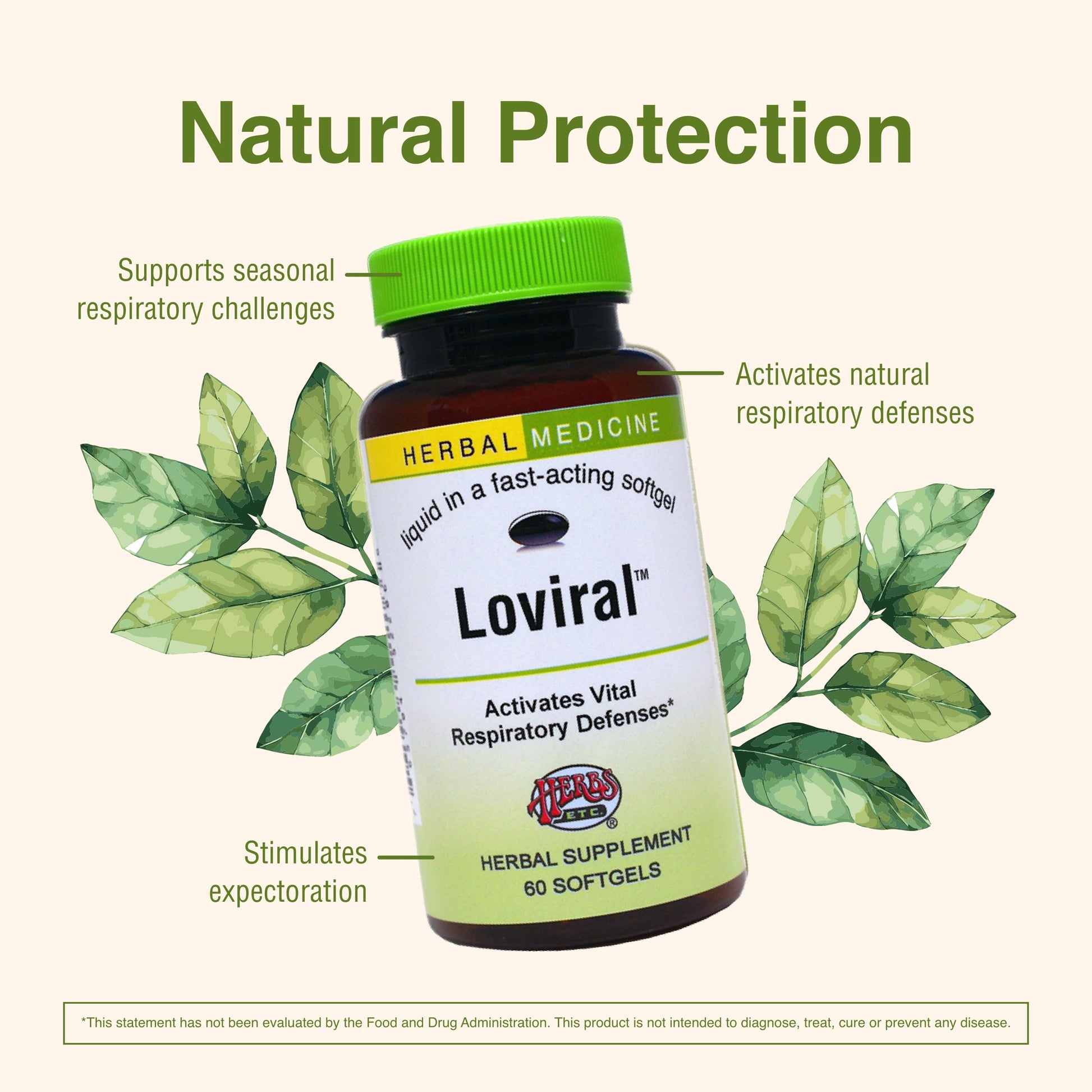 Herbs Etc. Loviral - Lung Health Supplement for Respiratory Defense & Support - Herbal Supplement with Lomatium, Pelargonium & OSHA - Gluten-Free - 60 Softgels (60 Servings) Herbs Etc.Au supplements
