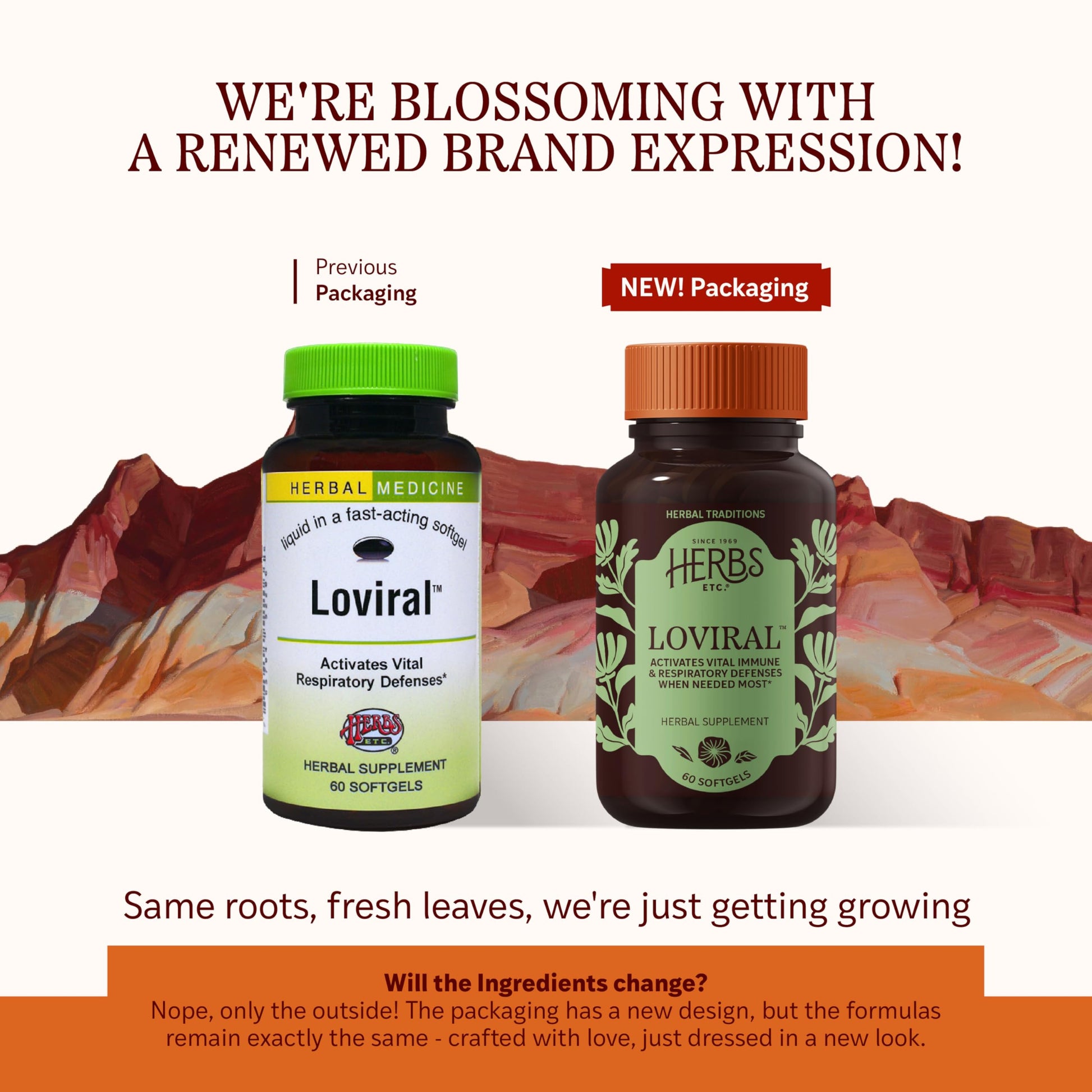 Herbs Etc. Loviral - Lung Health Supplement for Respiratory Defense & Support - Herbal Supplement with Lomatium, Pelargonium & OSHA - Gluten-Free - 60 Softgels (60 Servings) Herbs Etc.Au supplements