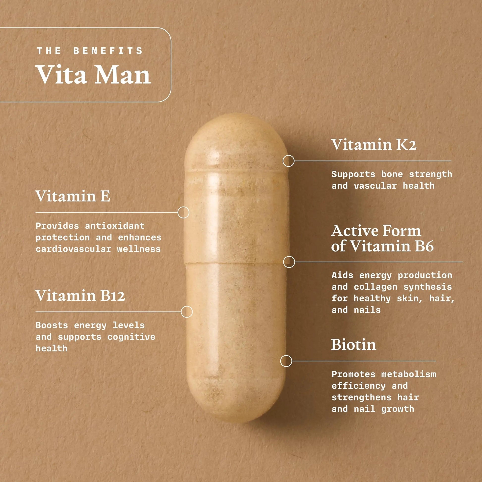Ultra Life Sport - VITA Man Premium Men's Multivitamin - 30 Capsule Daily Vitamins for Men with Vitamin E, K2 MK-7, and B Vitamins for Maximum Absorption Ultra Life SportAu supplements
