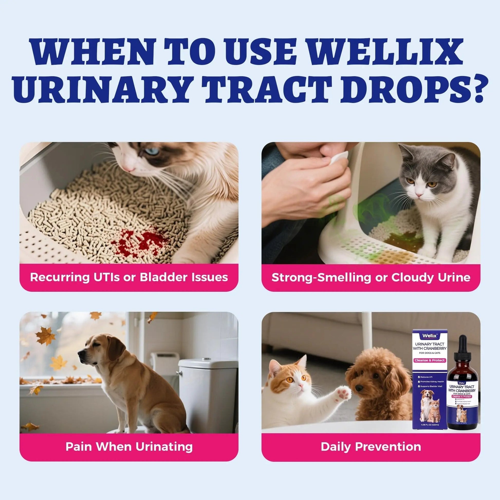 4oz Wellix Natural Cat & Dog UTI Treatment Drops,Cat & Dog Urinary Tract Infection Treatment - Cranberry & D-Mannose for Dogs & Cats - Kidney Health Supplement WellixAu supplements