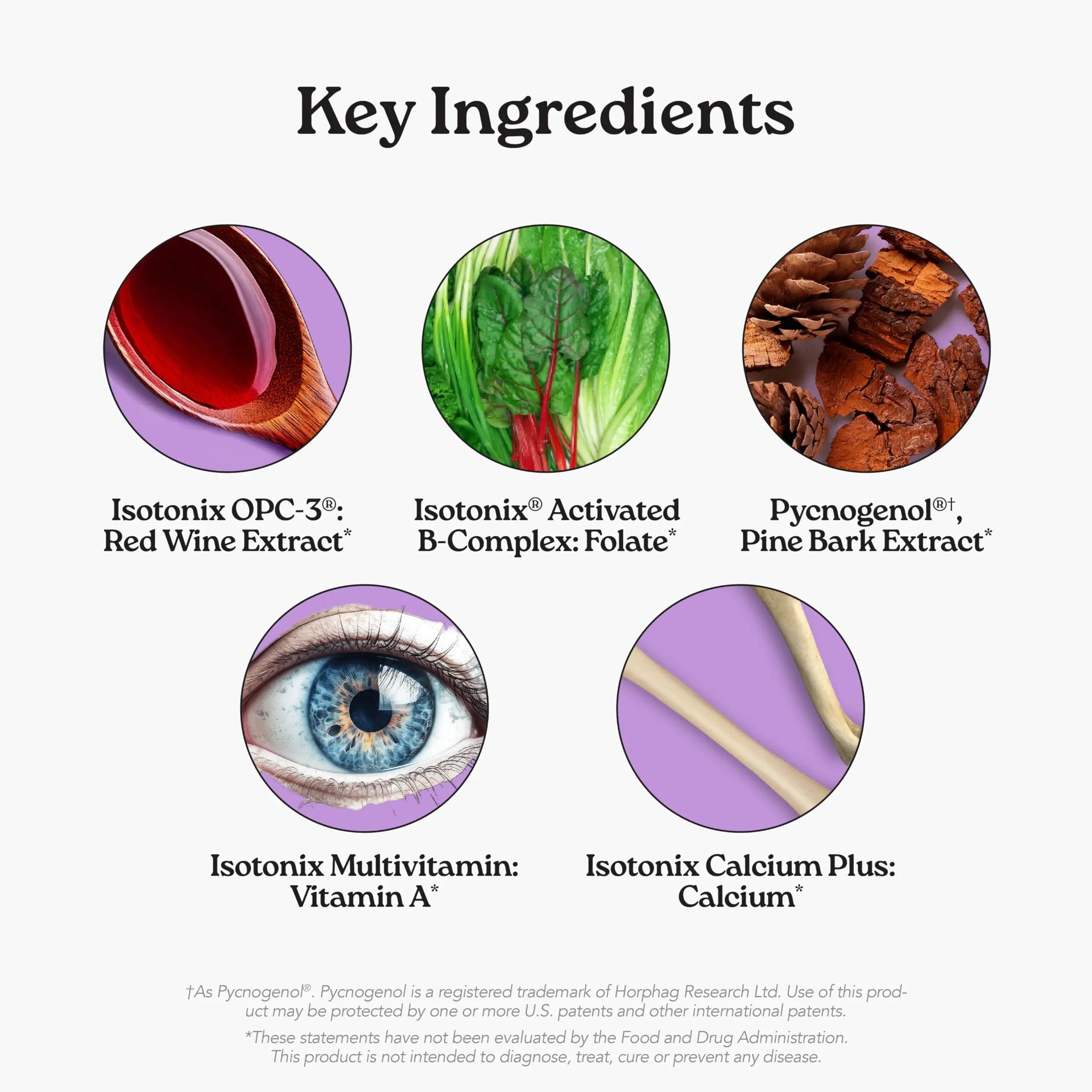 Isotonix® Daily Essentials Multivitamin Powder Packets – 4-in-1 Formula with Multivitamin, Activated B-Complex, Calcium Plus IsotonixAu supplements