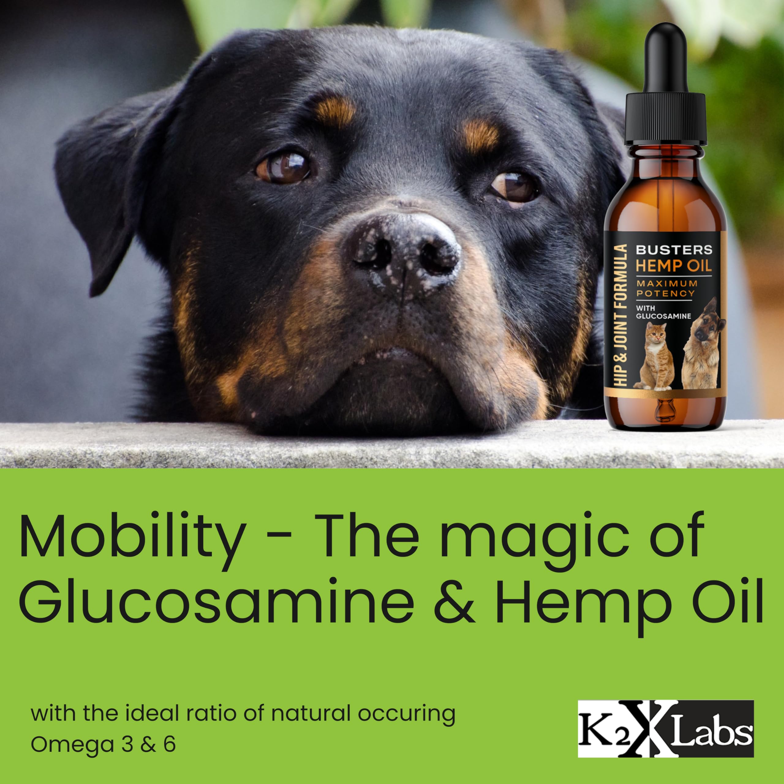 Busters Hip and Joint Hemp Oil Formula enriched with Glucosamine, Pain Relief for Dogs and Pets, Arthritis, and Advanced Mobility Support K2xLabsAu supplements