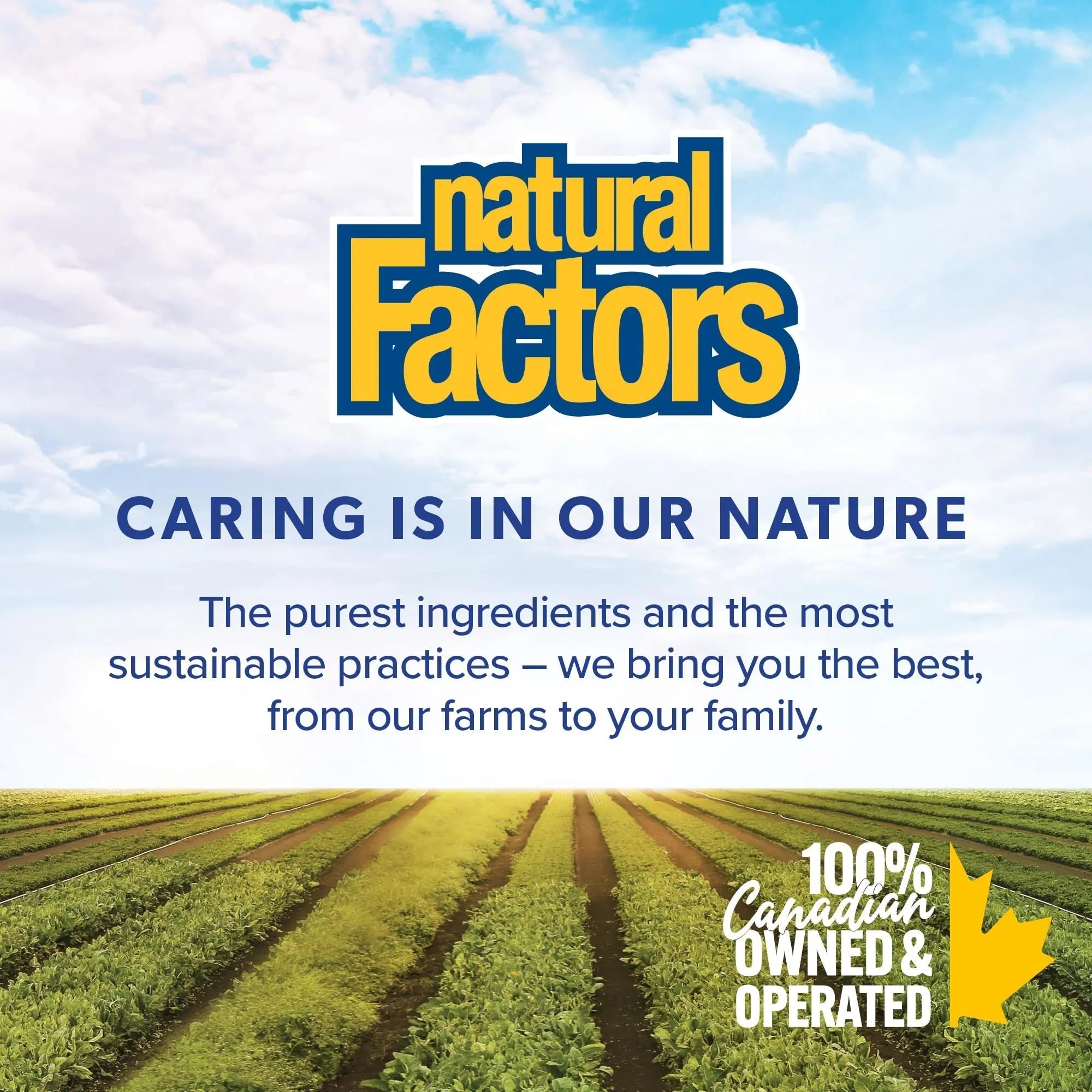 Natural Factors B12 Methylcobalamin, 10,000 mcg, Cherry, 30 Chewable Tablets Natural FactorsAu supplements