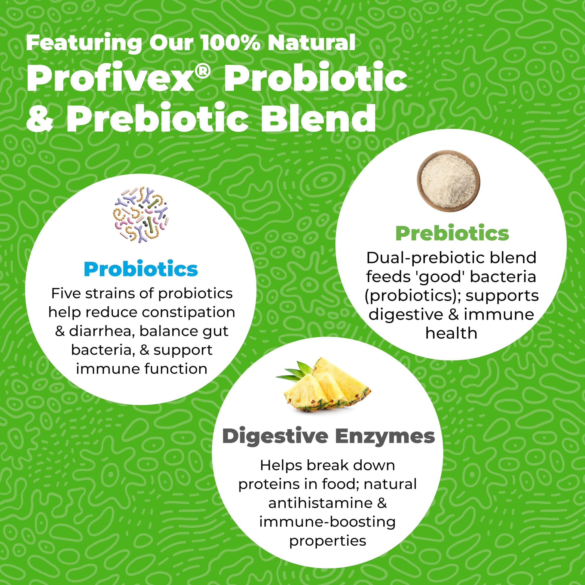 Vetnique Glandex Daily Probiotics for Dogs with Prebiotics to Support Gut Health with Fiber and Digestive Enzymes, Dog Probiotic Chews or Powders (30ct Chews, Bacon Chews) VetniqueAu supplements