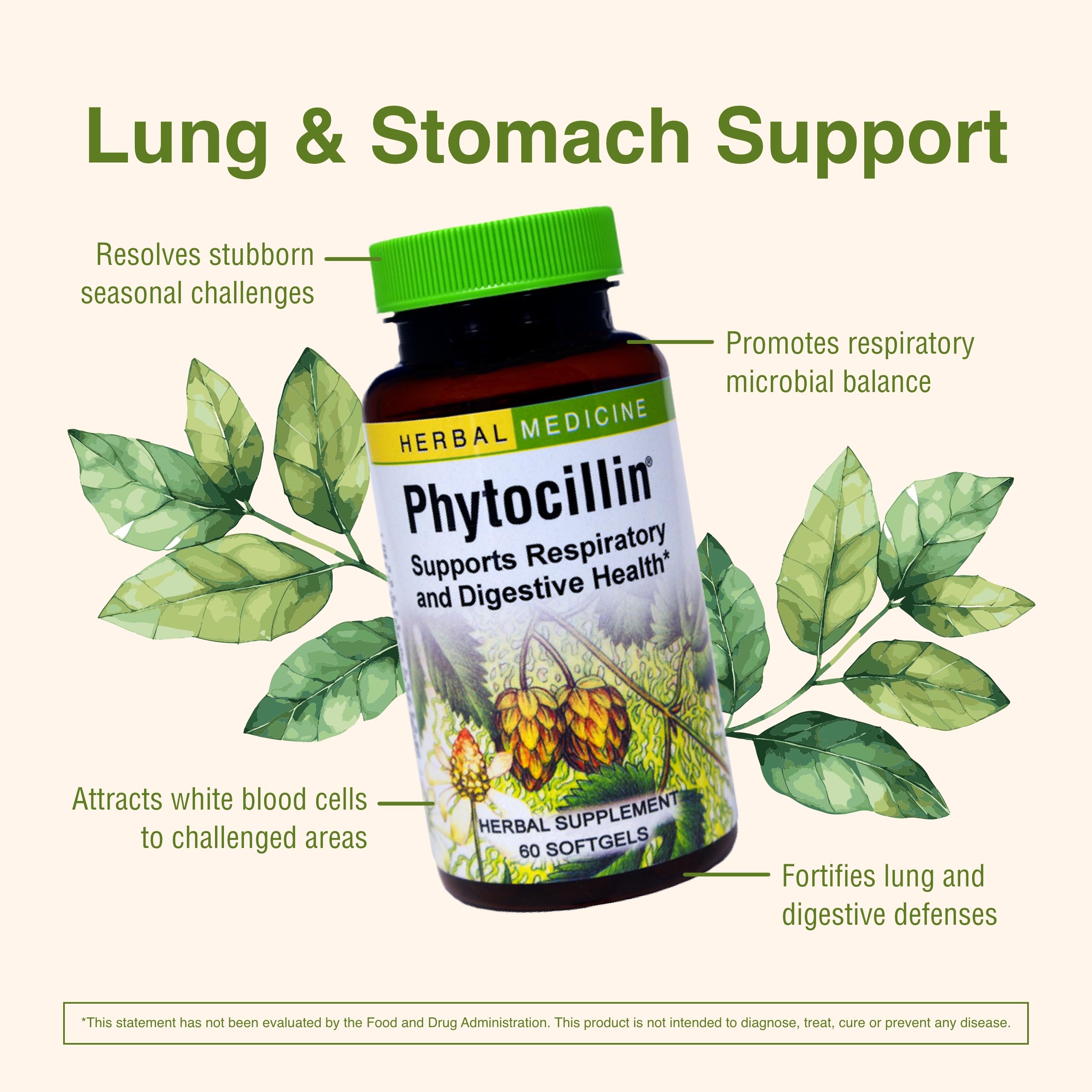 Herbs Etc. Phytocillin - Respiratory & Digestive Health Support Supplement - Herbal Formula to Support Digestion - Support Healthy Breathing - 60 Softgels (60 Servings) Herbs Etc.Au supplements