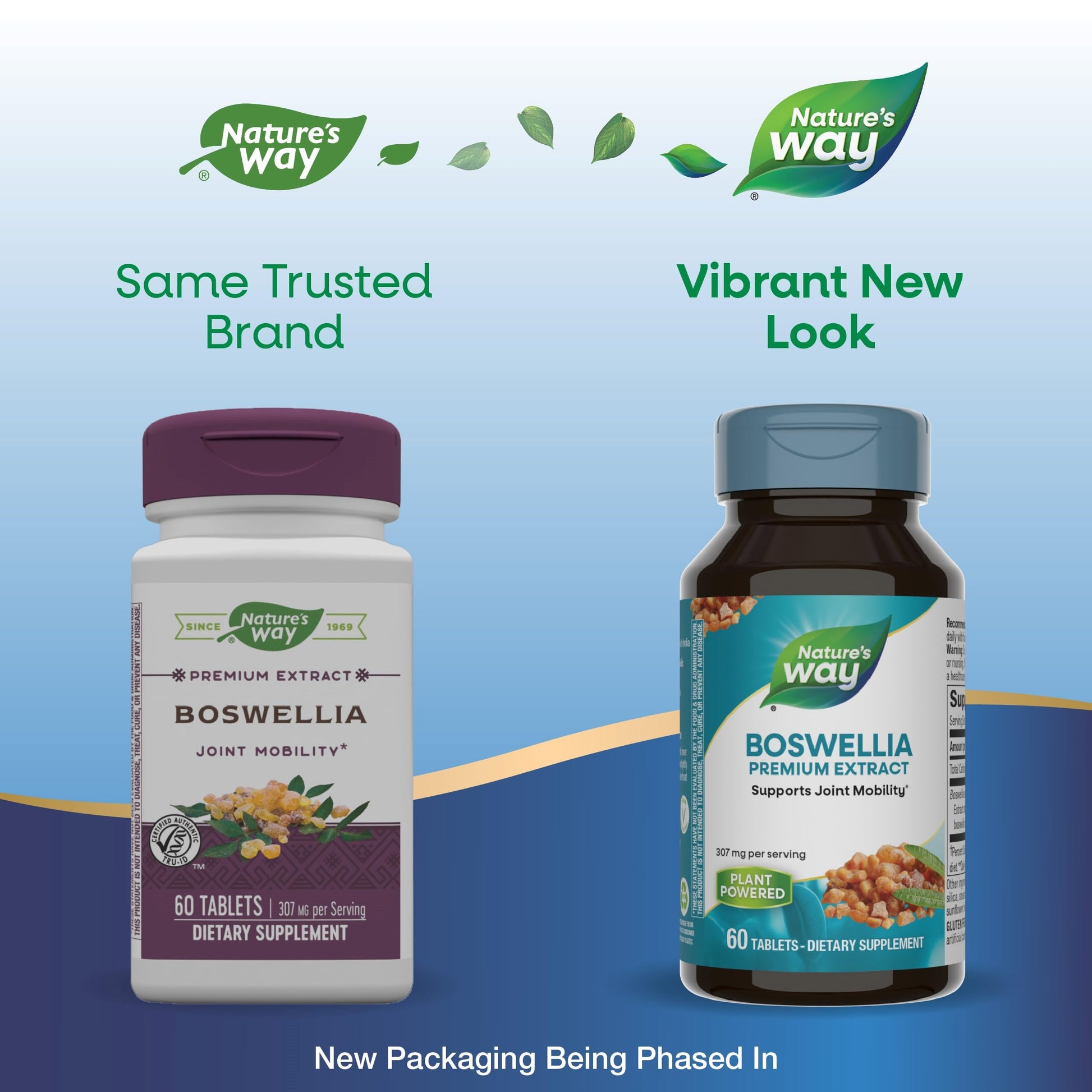 Nature's Way Boswellia Premium Extract, Supports Joint Mobility*, 307 mg Boswellia serrata Extract per Serving, Frankincense Supplement, Gluten Free & Vegan - 60 Tablets (Packaging May Vary) - 2 Pack Nature's WayAu supplements