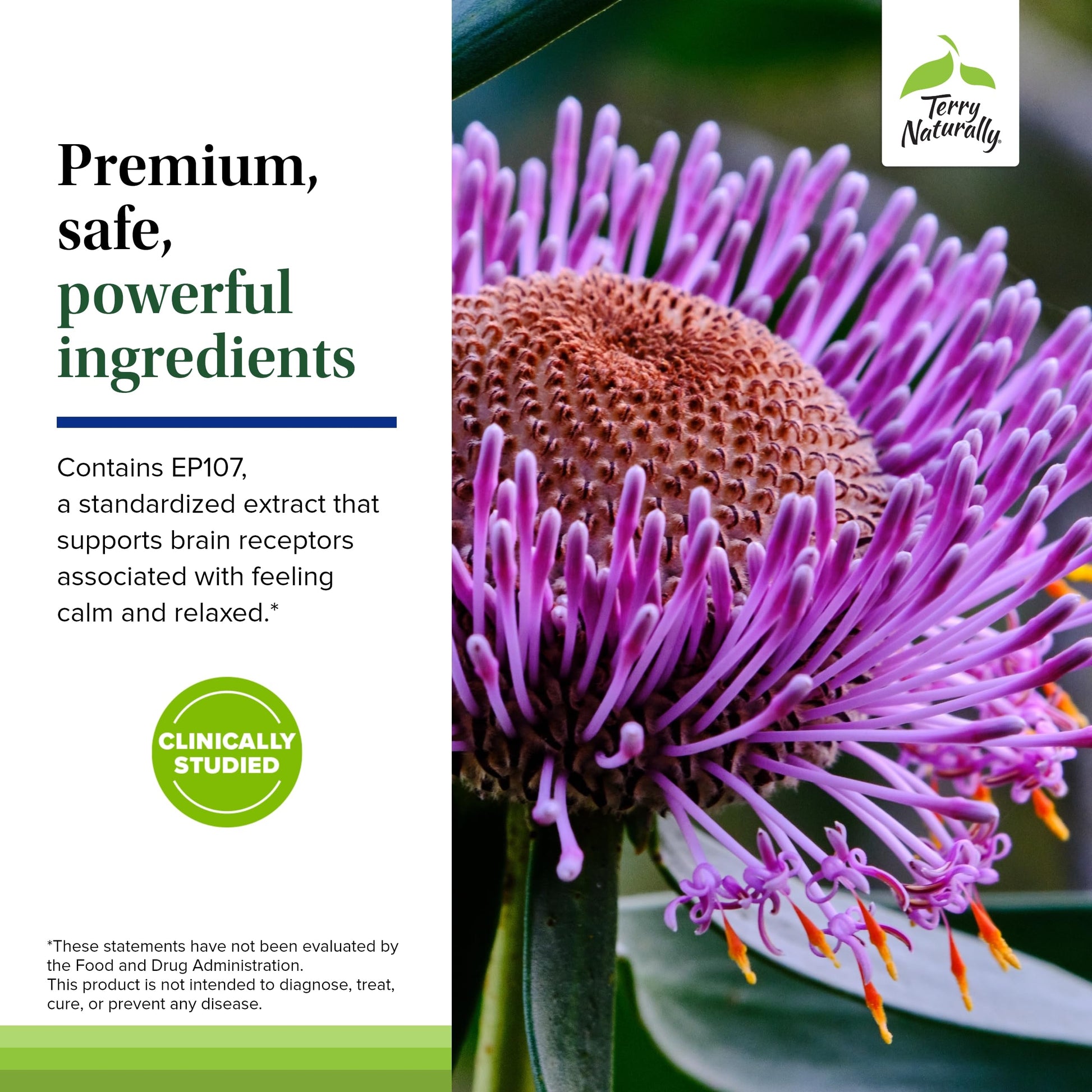 Terry Naturally AnxioCalm - Calming Support Supplement - Supports Against Occasional Tension & Aids Calm Feelings with Narrow-Leaved Coneflower - Non-Drowsy Supplement - 75 Tablets Terry NaturallyAu supplements